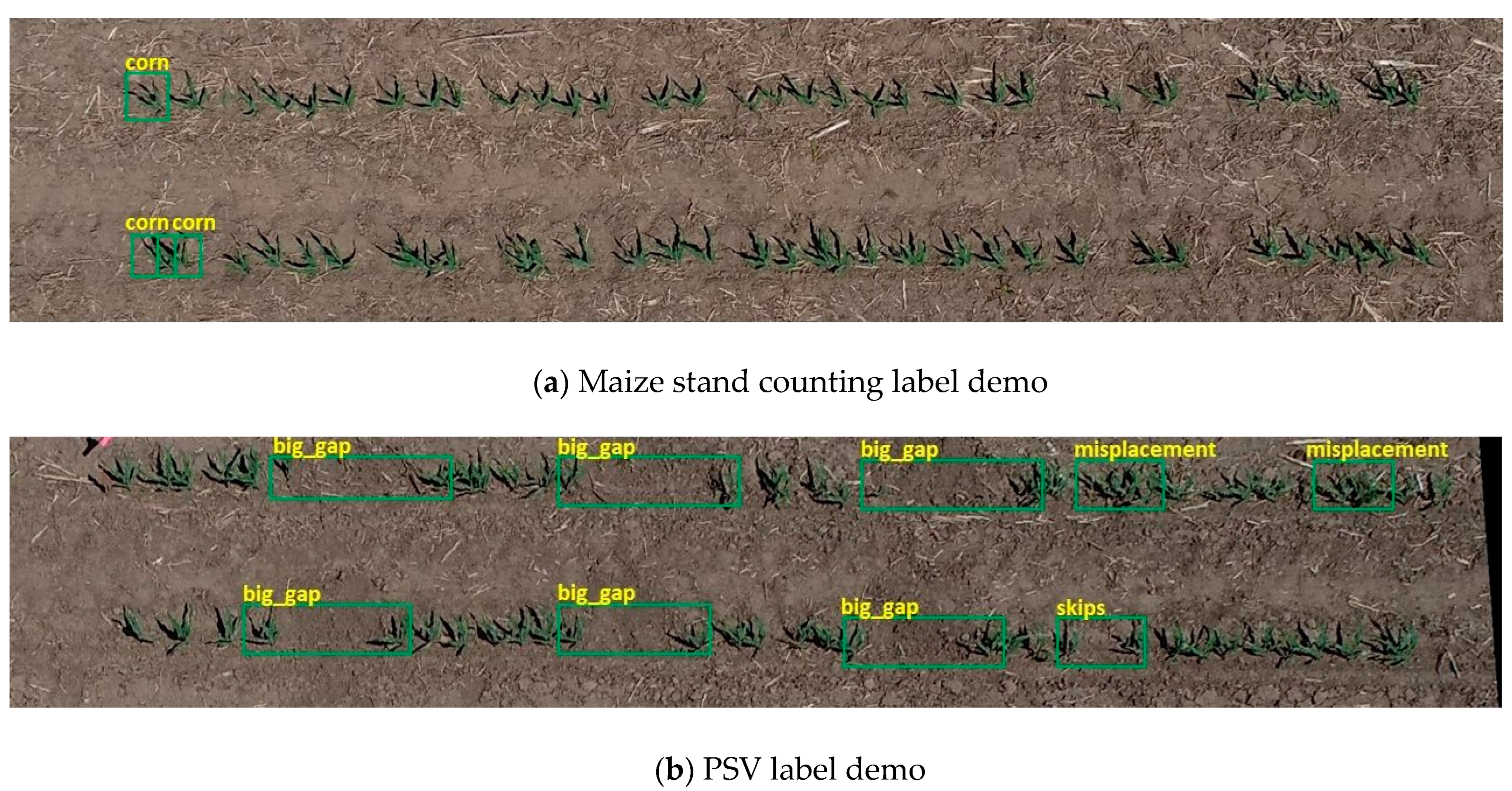 Agronomy 13 01728 g002 Agronomy 13 01728 g002