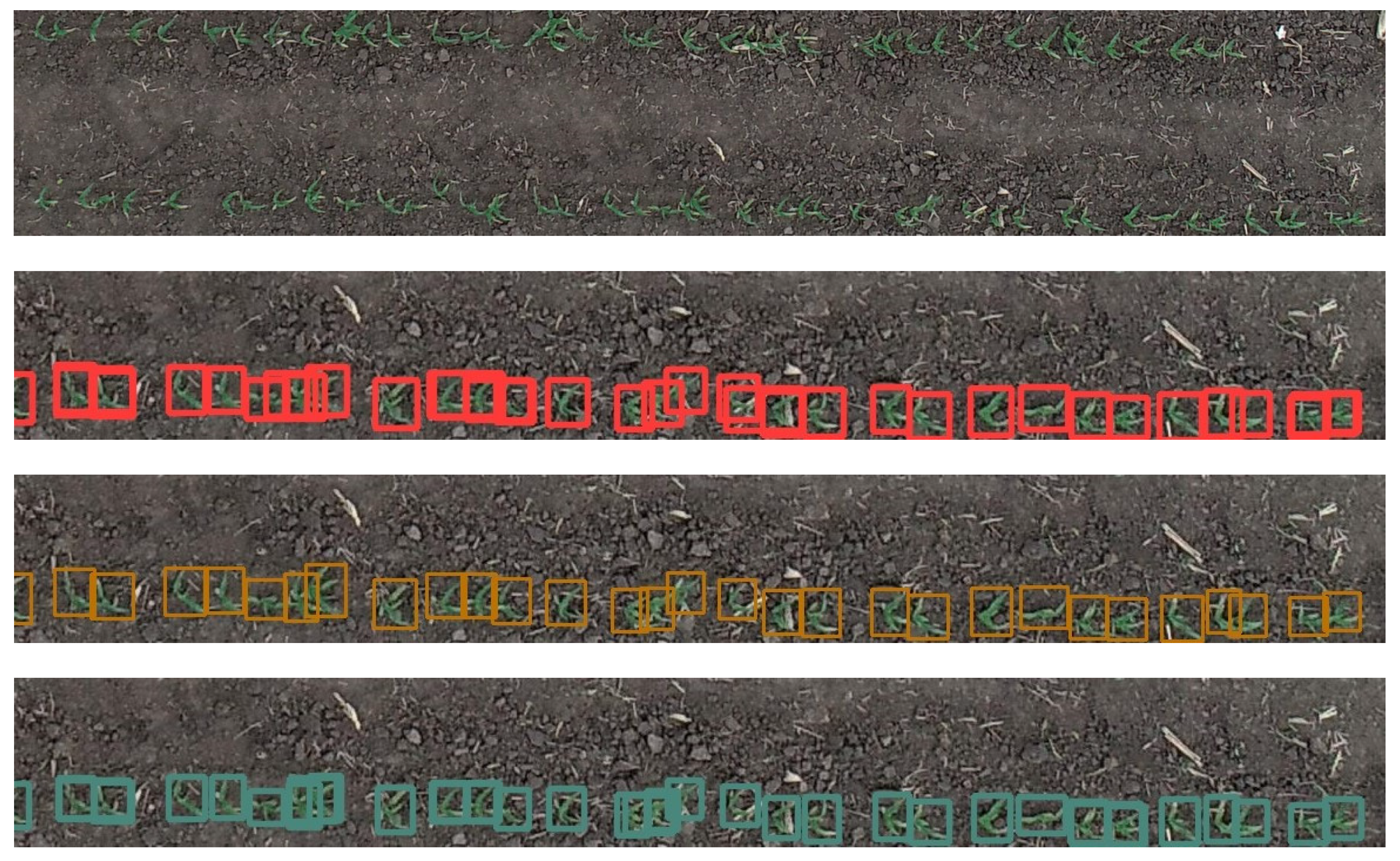 Agronomy 13 01728 g005 Agronomy 13 01728 g005