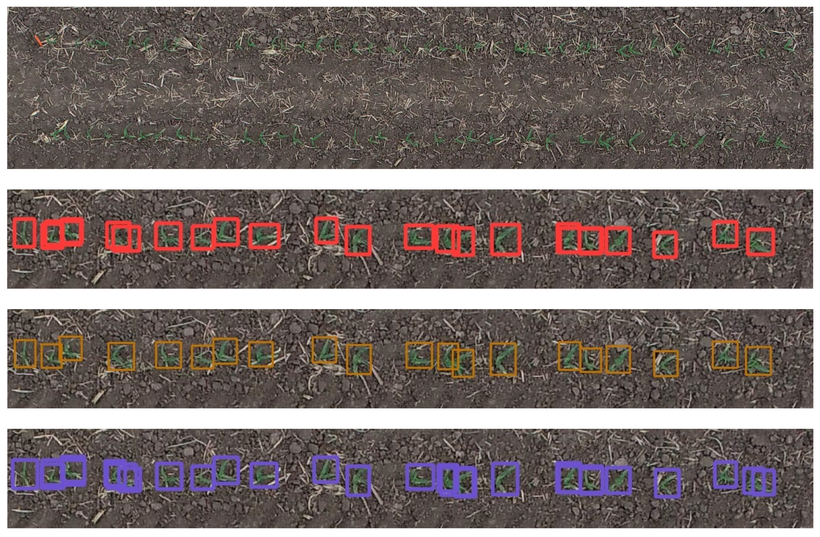 Agronomy 13 01728 g006 Agronomy 13 01728 g006