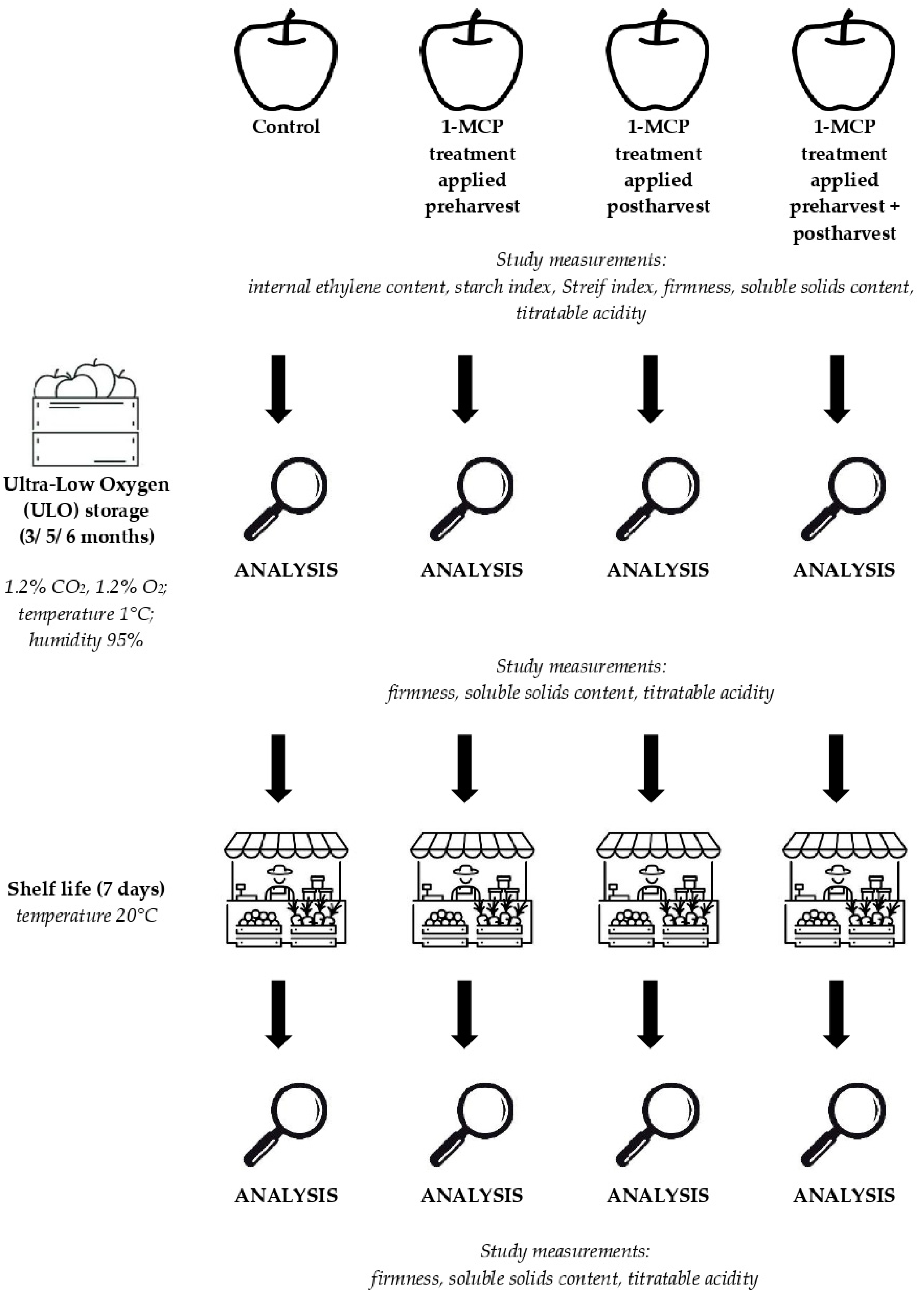 Agronomy 13 01730 g001