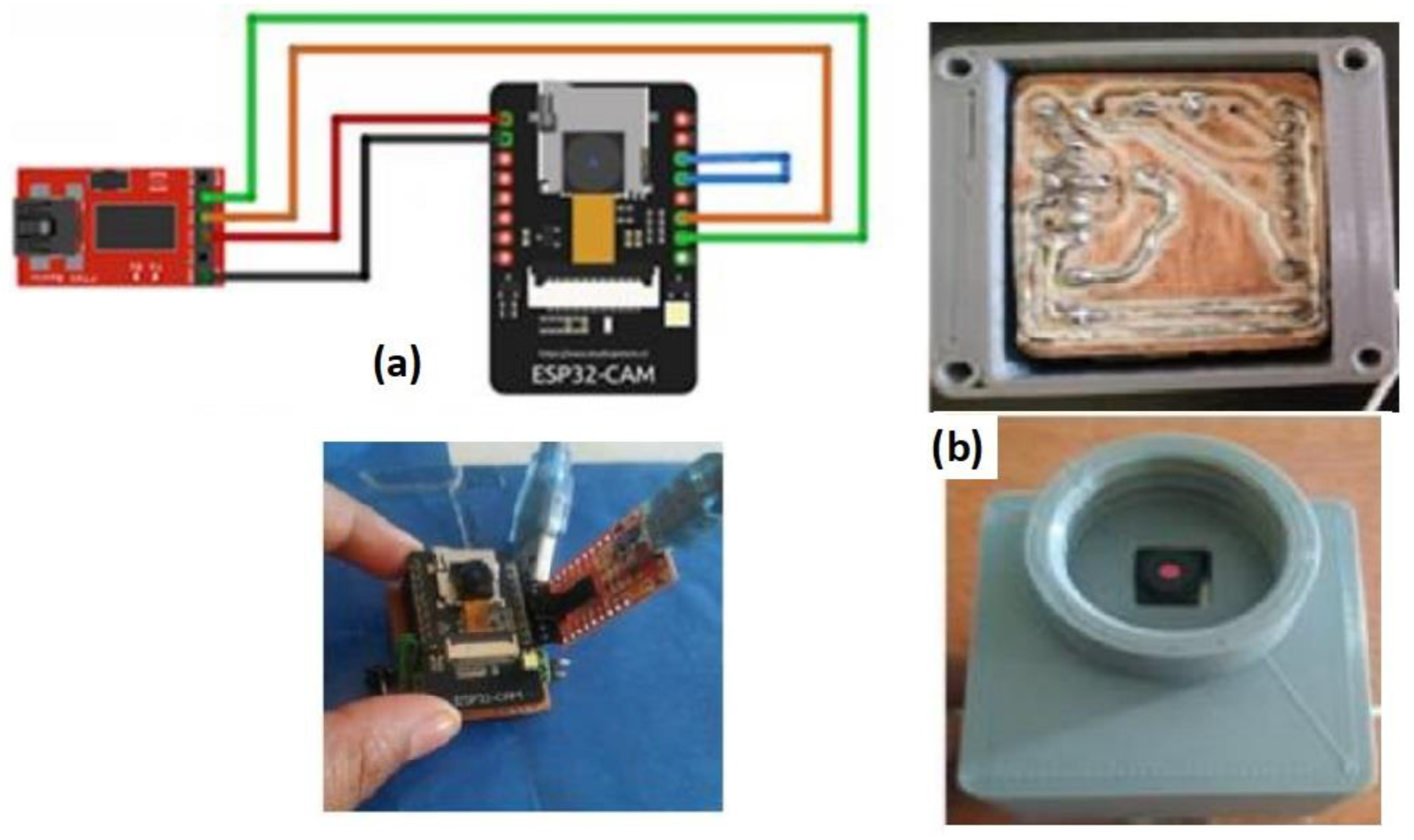 Agronomy 13 01736 g003 Agronomy 13 01736 g003