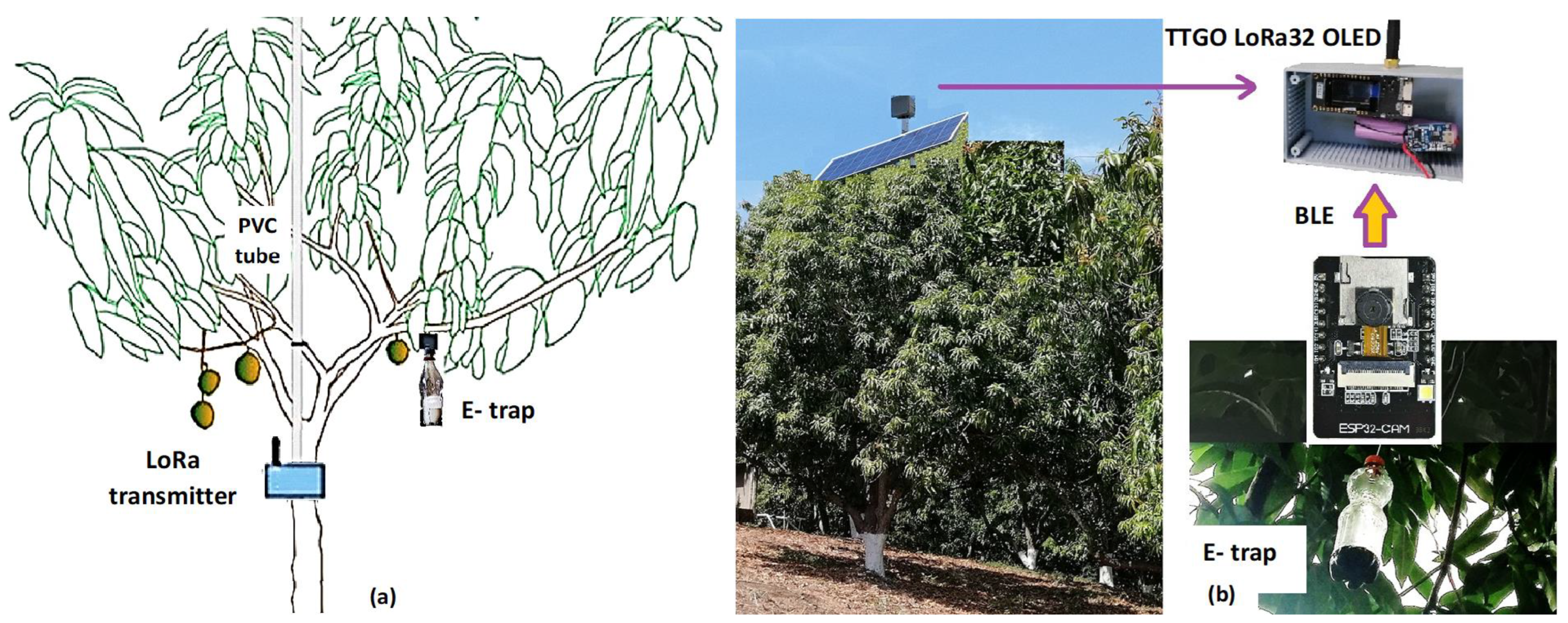 Agronomy 13 01736 g005 Agronomy 13 01736 g005