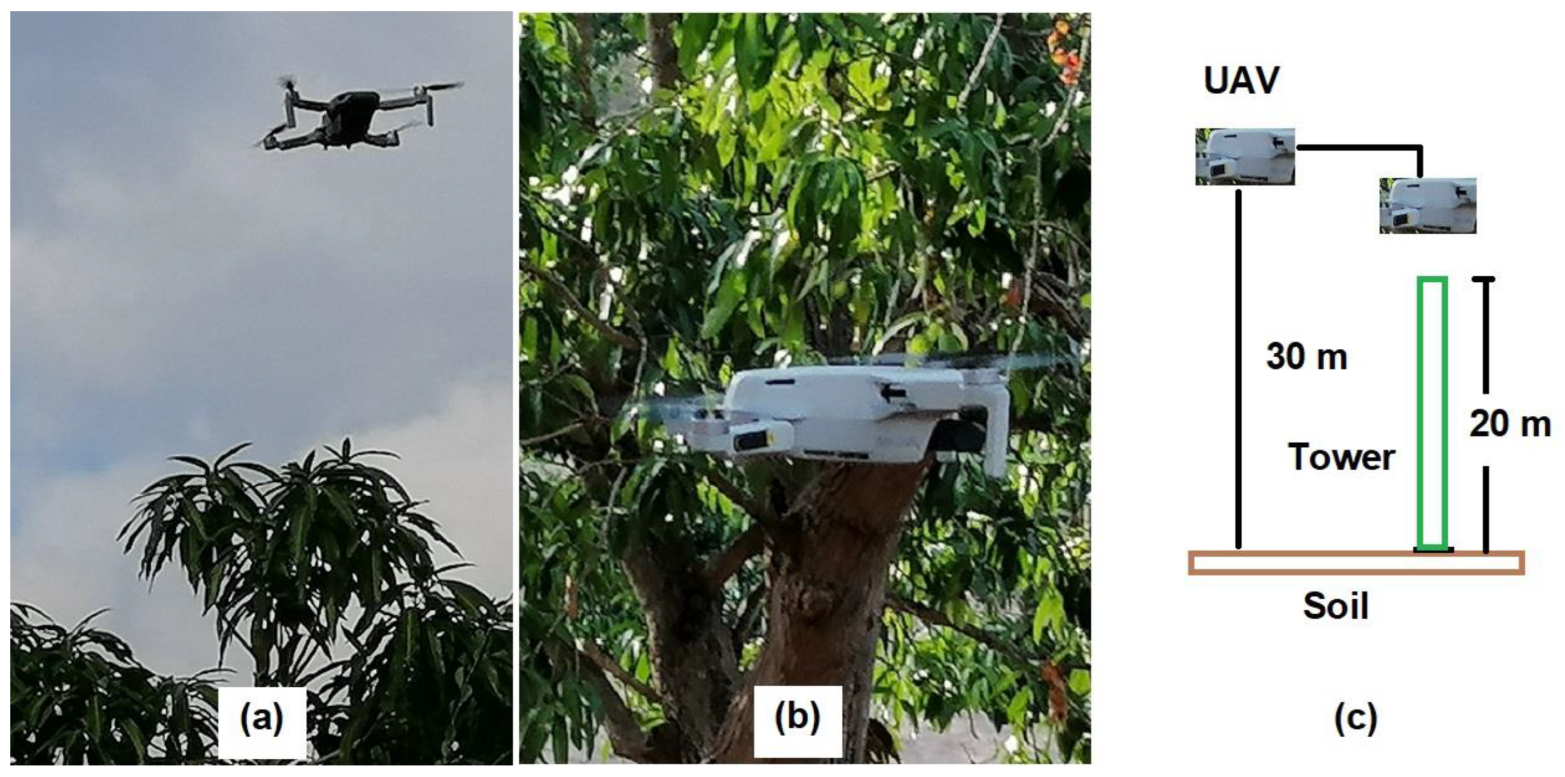 Agronomy 13 01736 g012 Agronomy 13 01736 g012