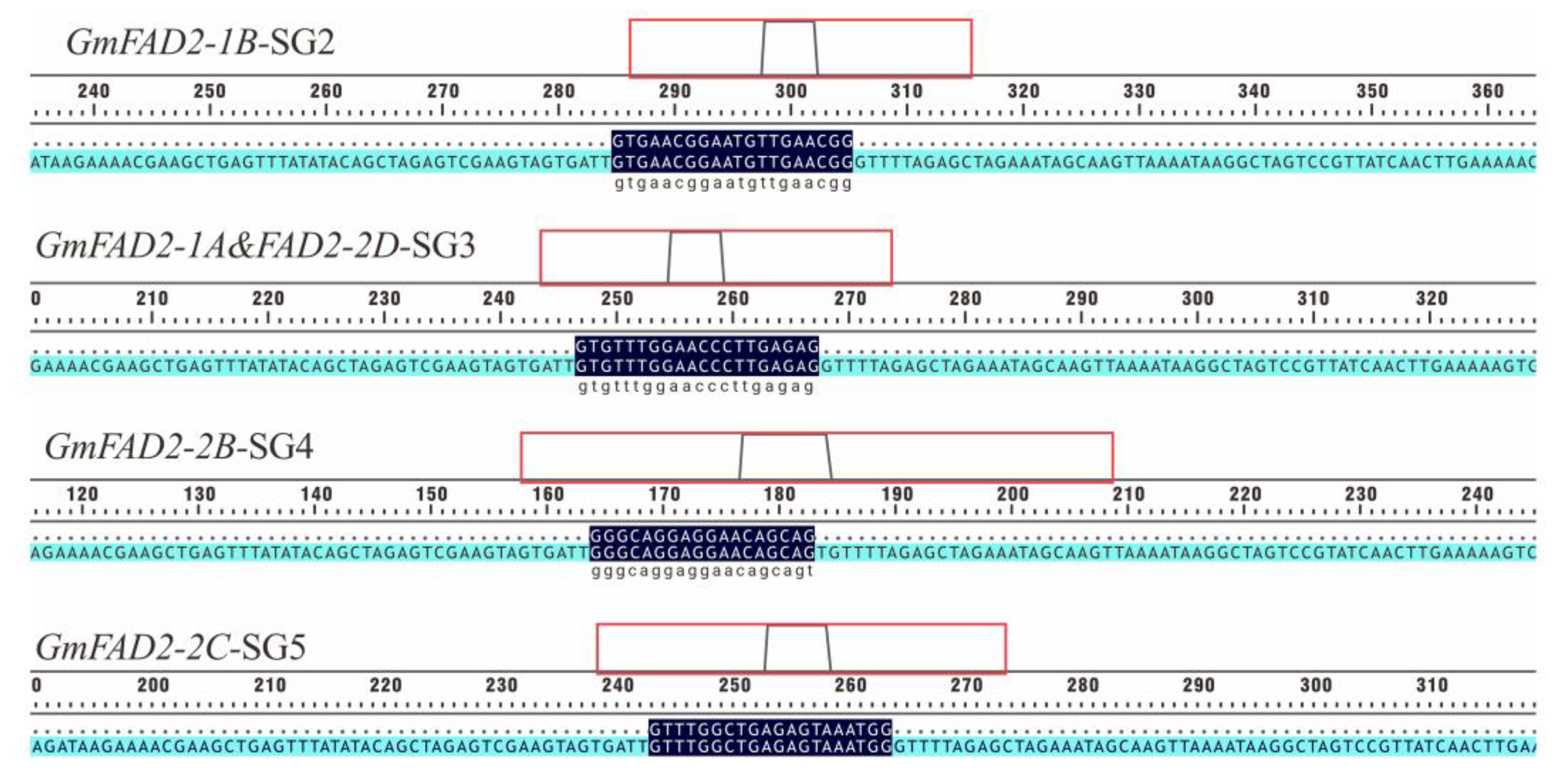 Agronomy 13 01737 g002 Agronomy 13 01737 g002