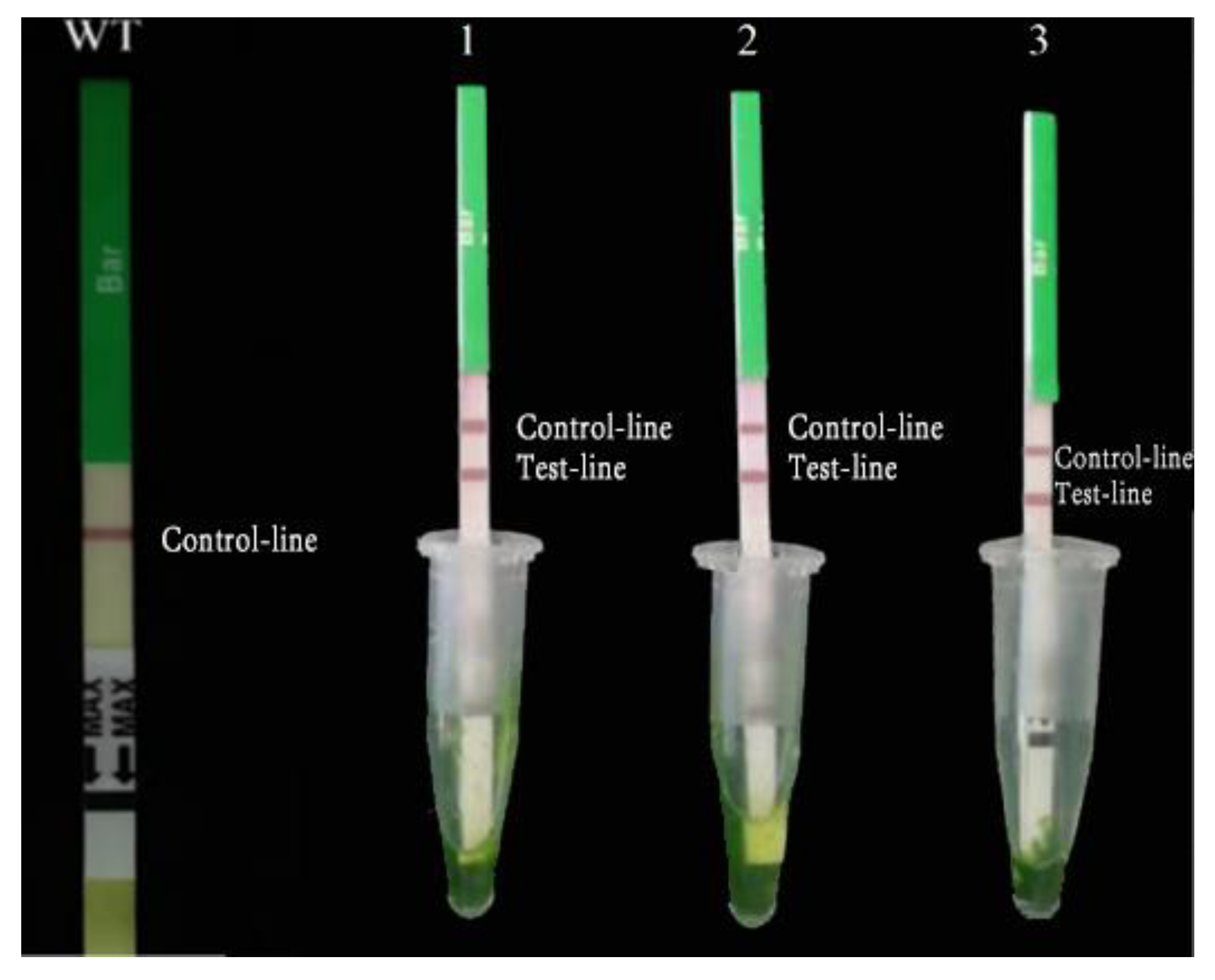 Agronomy 13 01737 g004 Agronomy 13 01737 g004