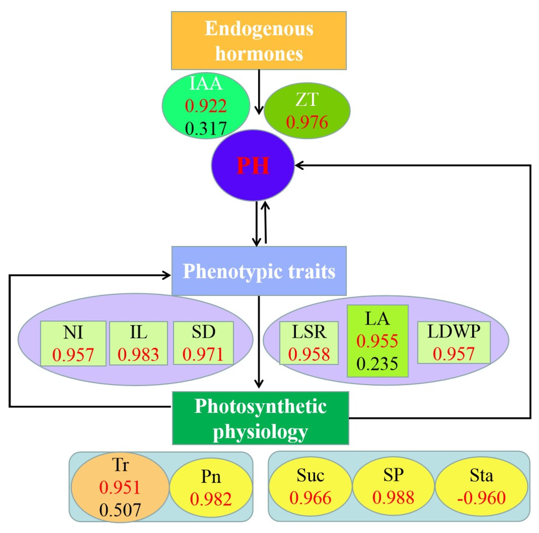 Agronomy 13 01744 g010