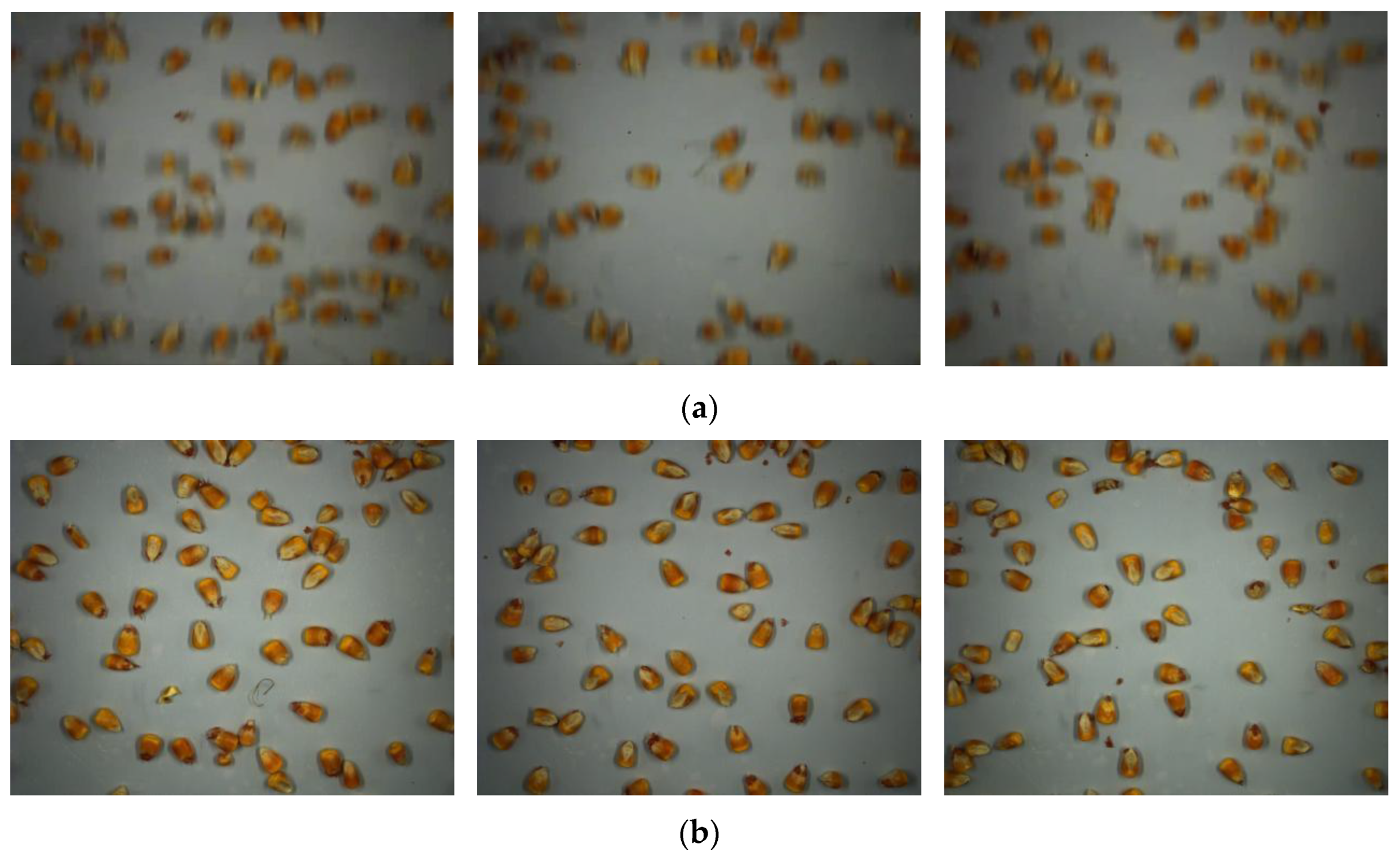 Agronomy 13 01750 g002 550
