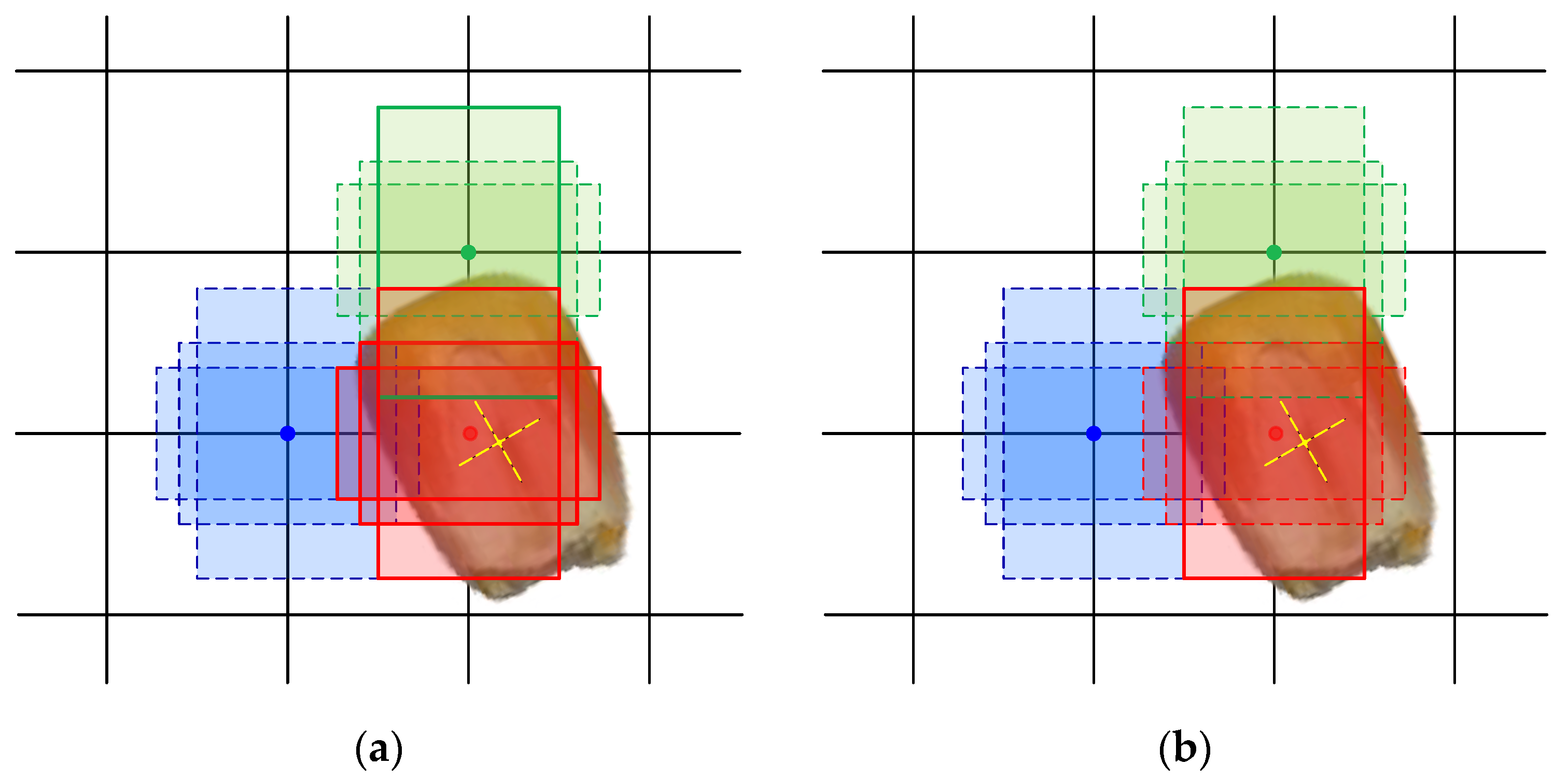 Agronomy 13 01750 g007 550