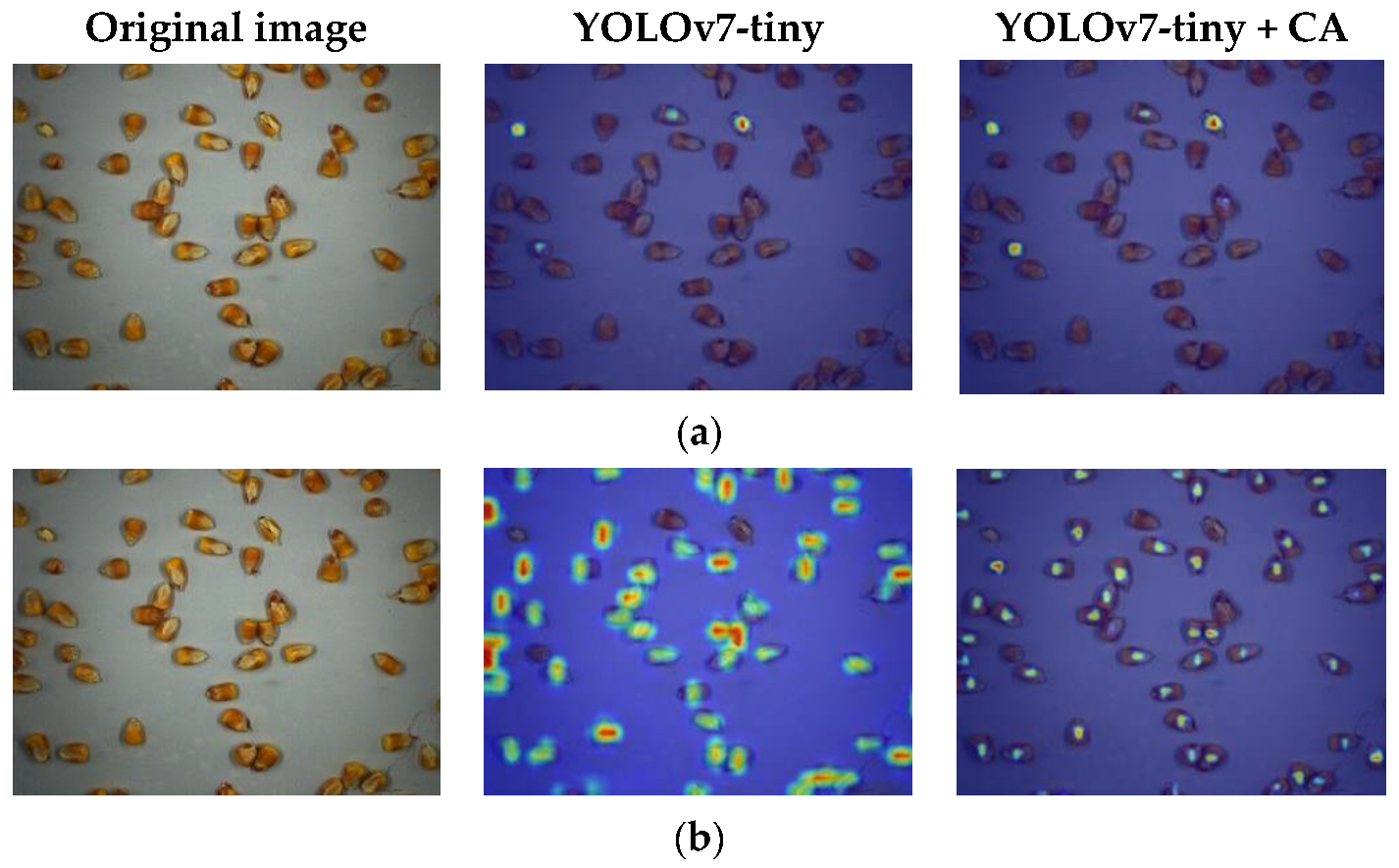Agronomy 13 01750 g011 550
