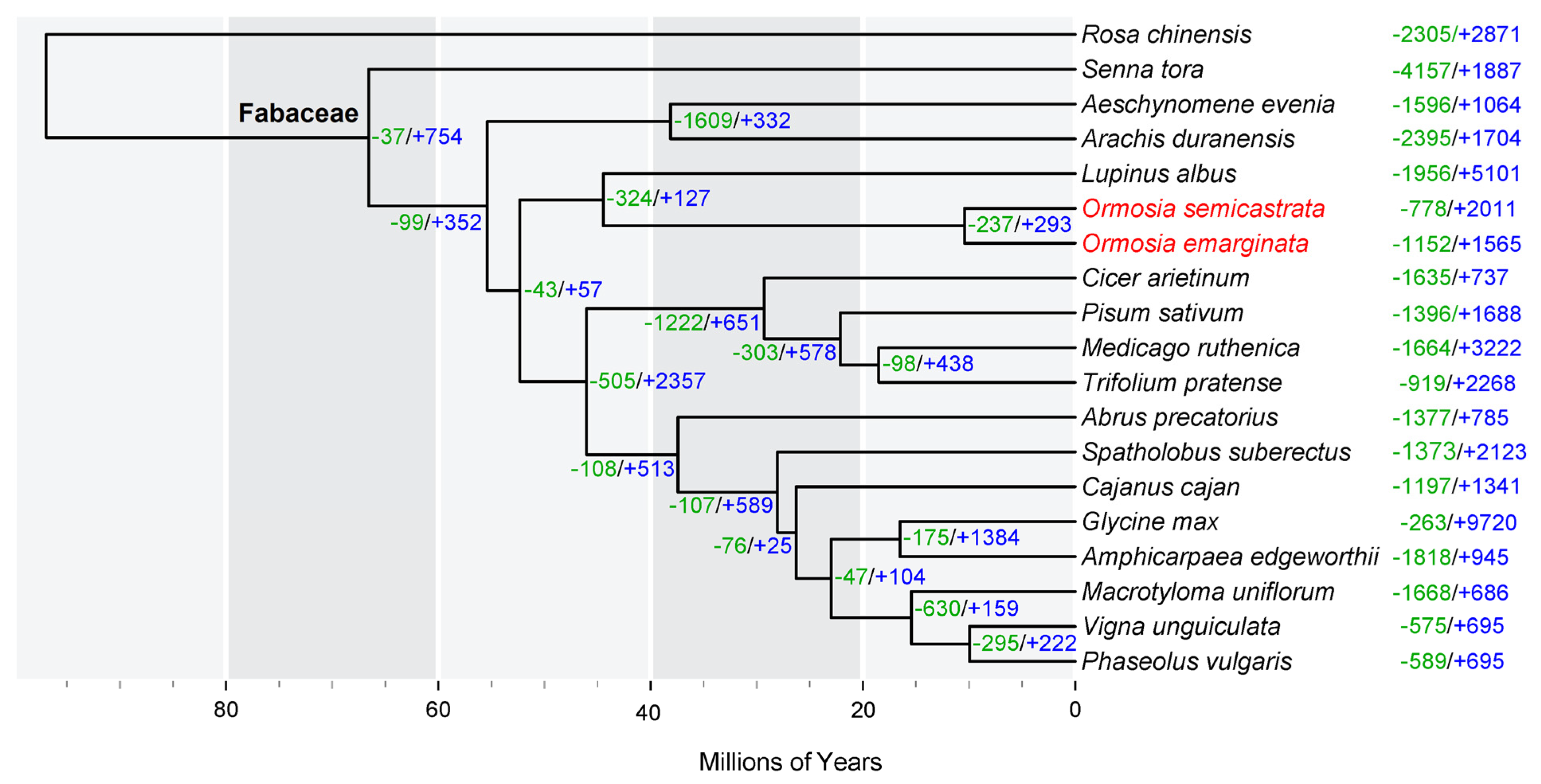 Agronomy 13 01757 g001 Agronomy 13 01757 g001