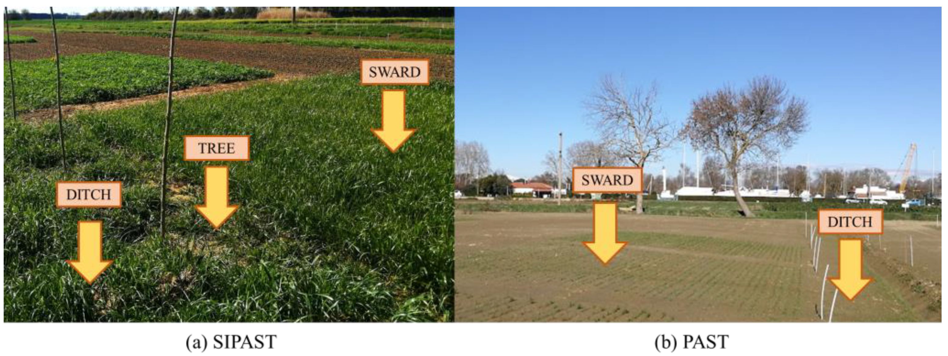 Agronomy 13 01761 g001 Agronomy 13 01761 g001