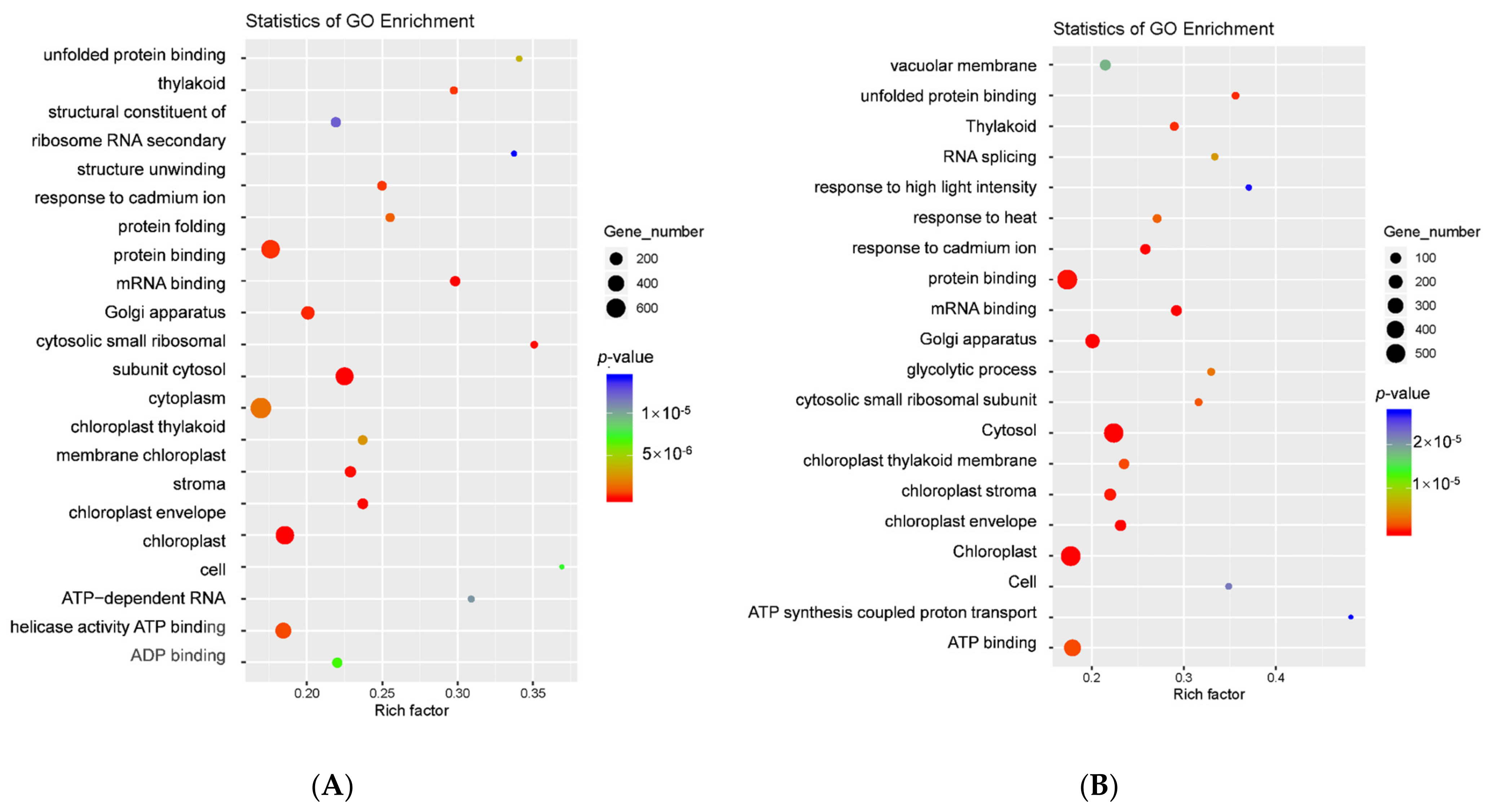 Agronomy 13 01763 g004 Agronomy 13 01763 g004
