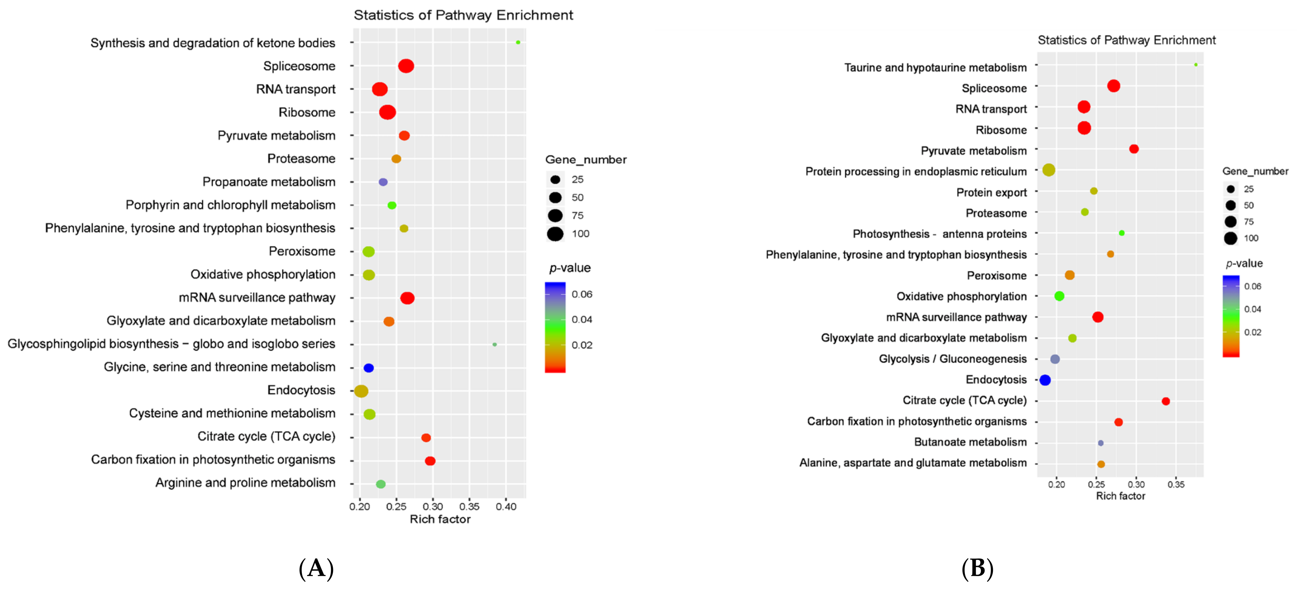 Agronomy 13 01763 g005 Agronomy 13 01763 g005