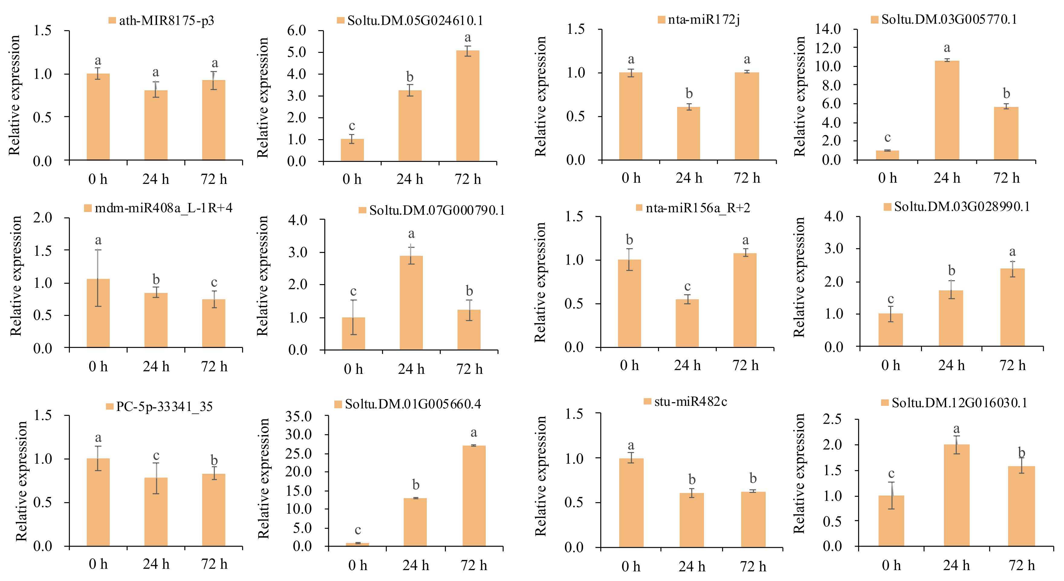 Agronomy 13 01763 g008 Agronomy 13 01763 g008