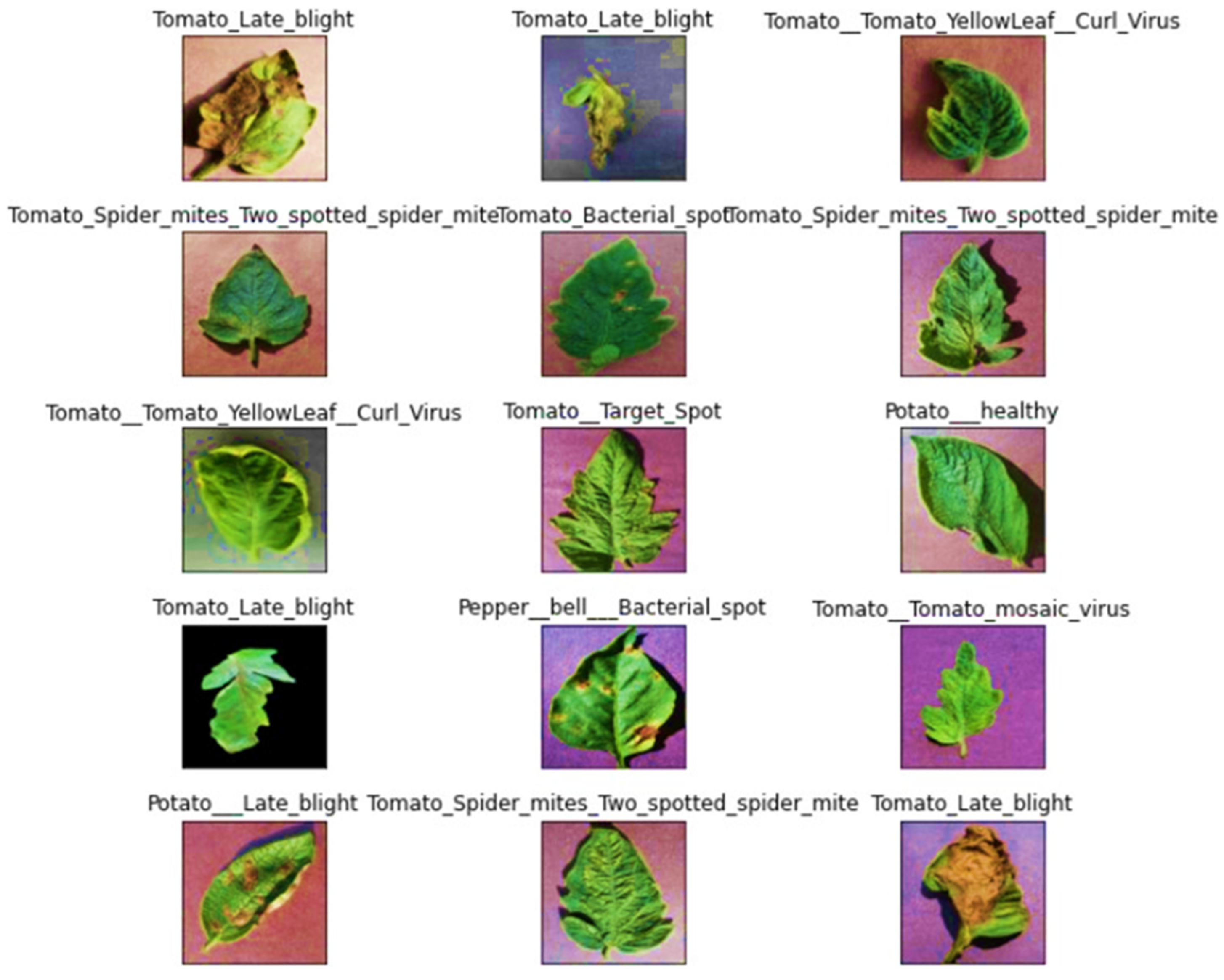 Agronomy 13 01764 g004 Agronomy 13 01764 g004