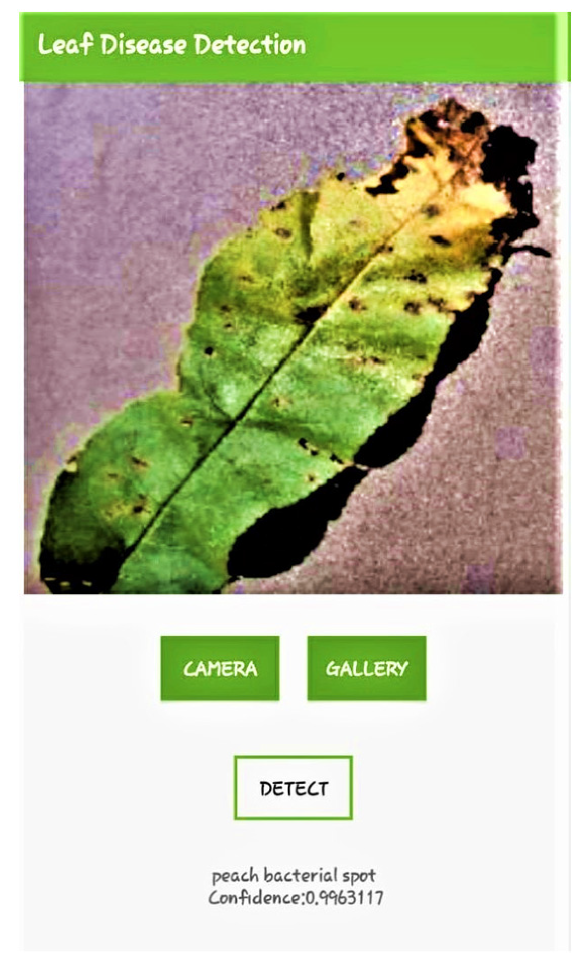 Agronomy 13 01764 g013 Agronomy 13 01764 g013