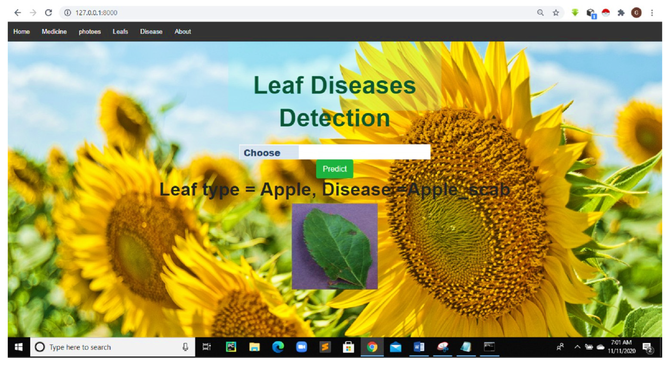 Agronomy 13 01764 g015 Agronomy 13 01764 g015