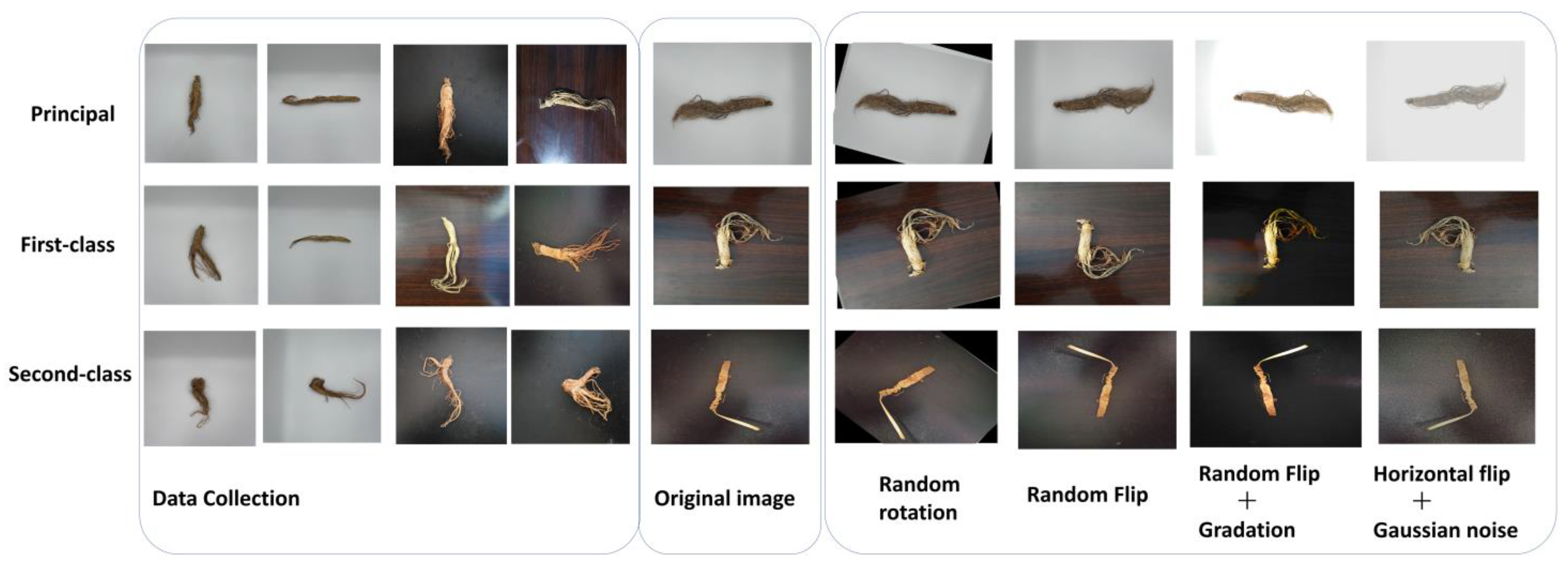 Agronomy 13 01770 g001