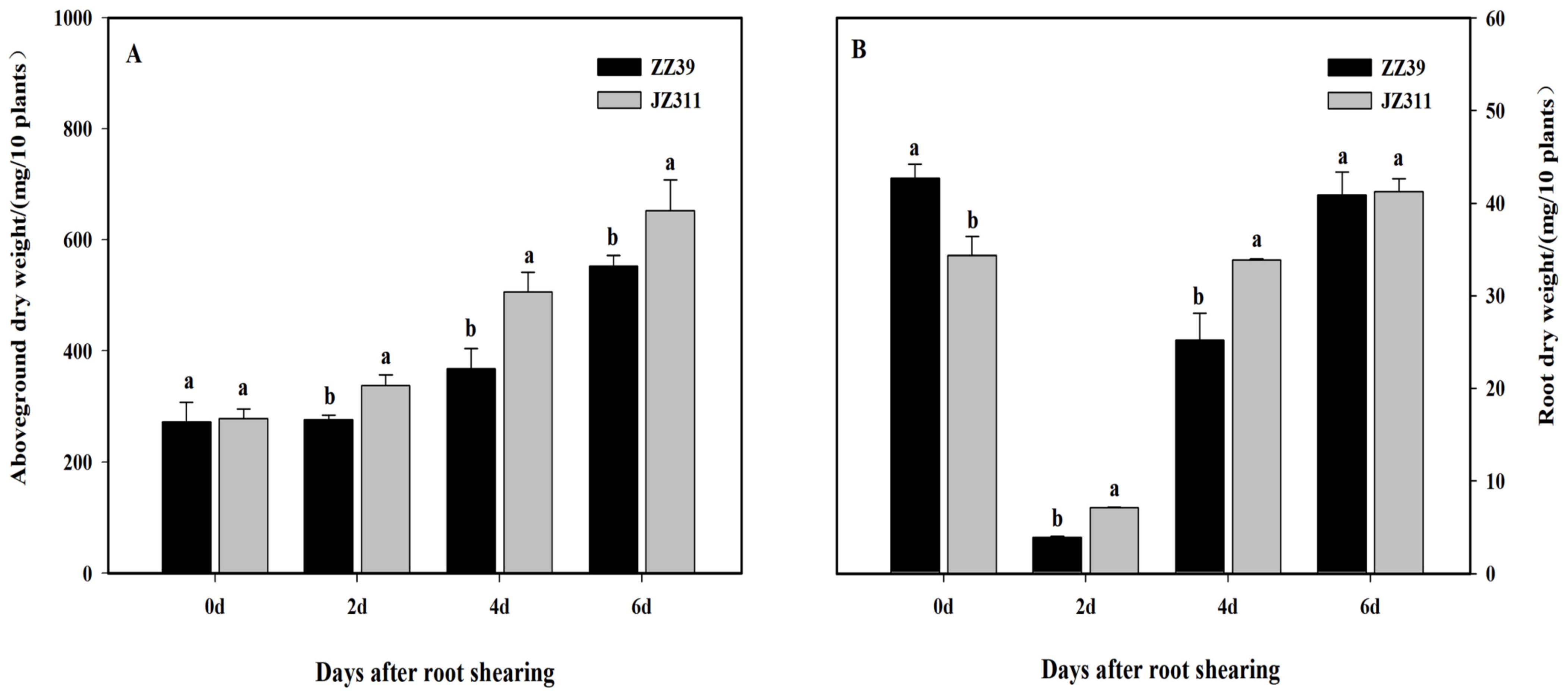 Agronomy 13 01772 g001