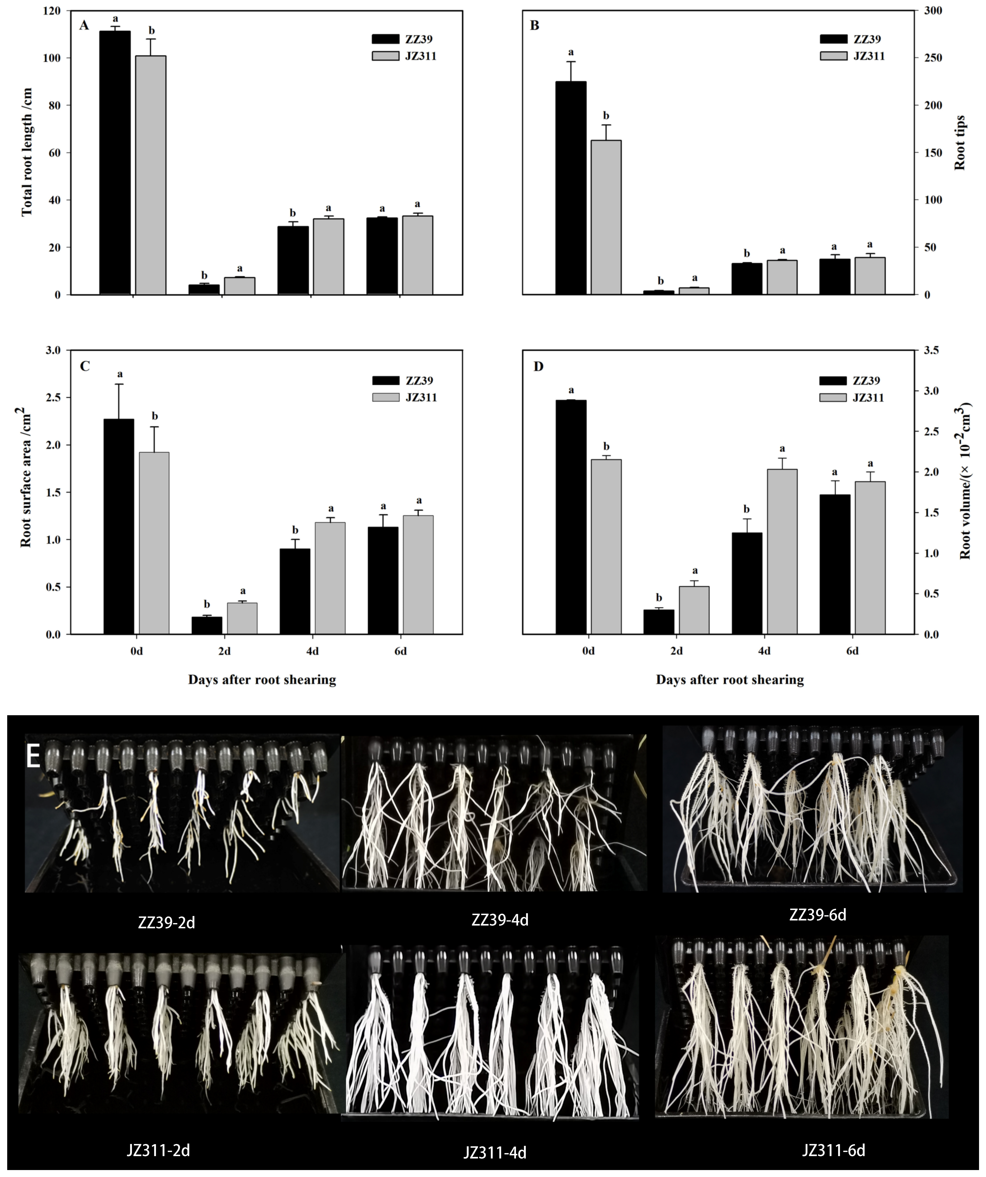 Agronomy 13 01772 g002