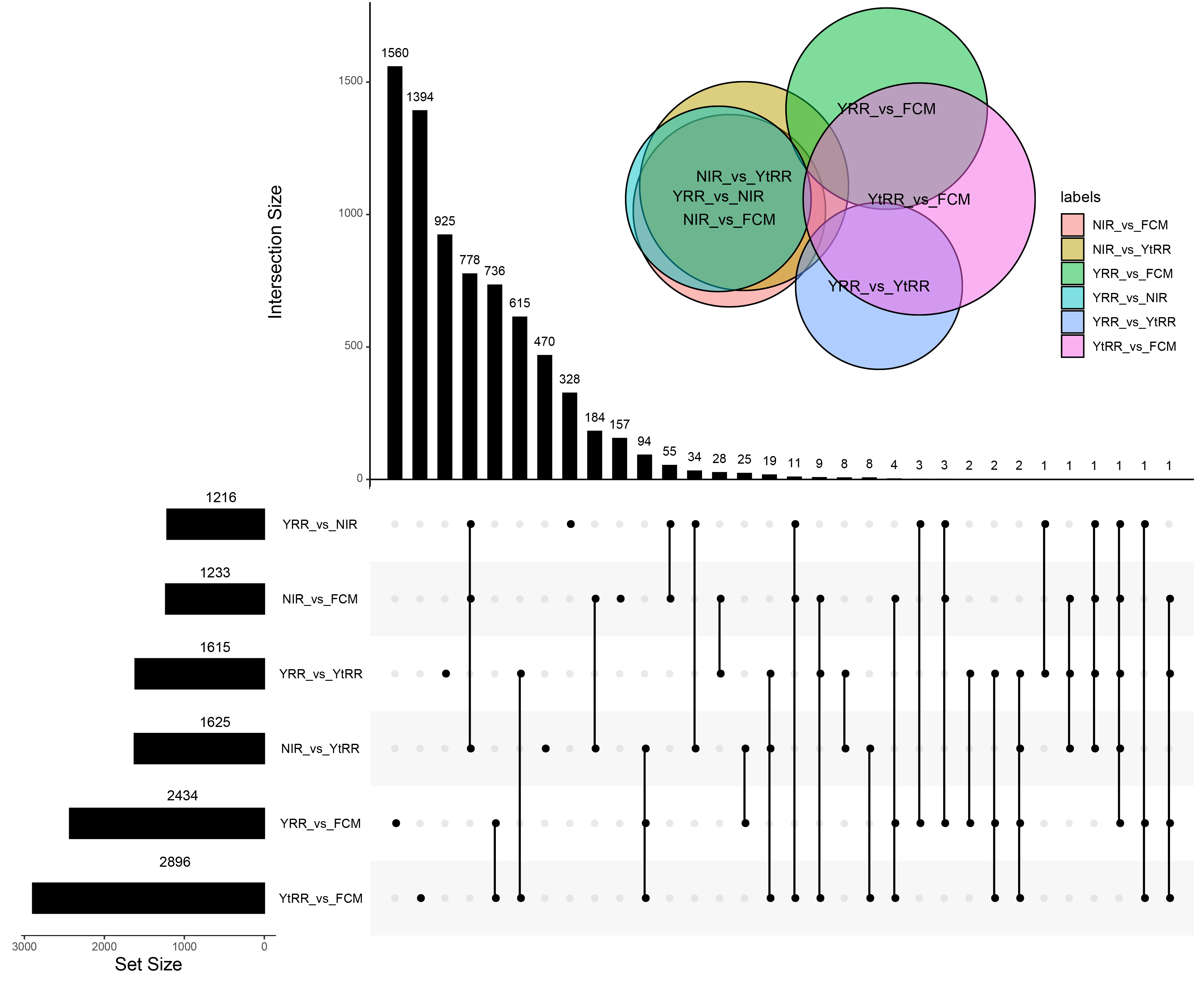 Agronomy 13 01781 g004