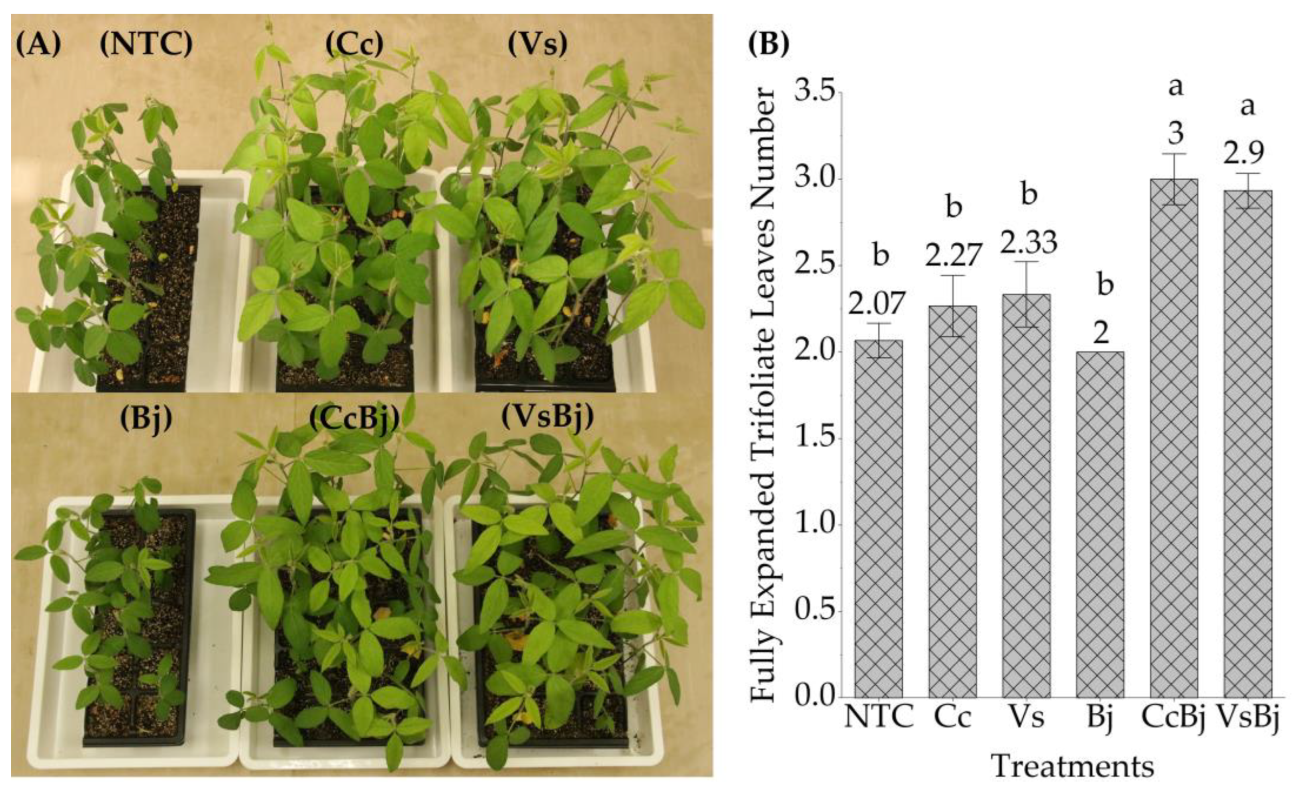 Agronomy 13 01788 g004