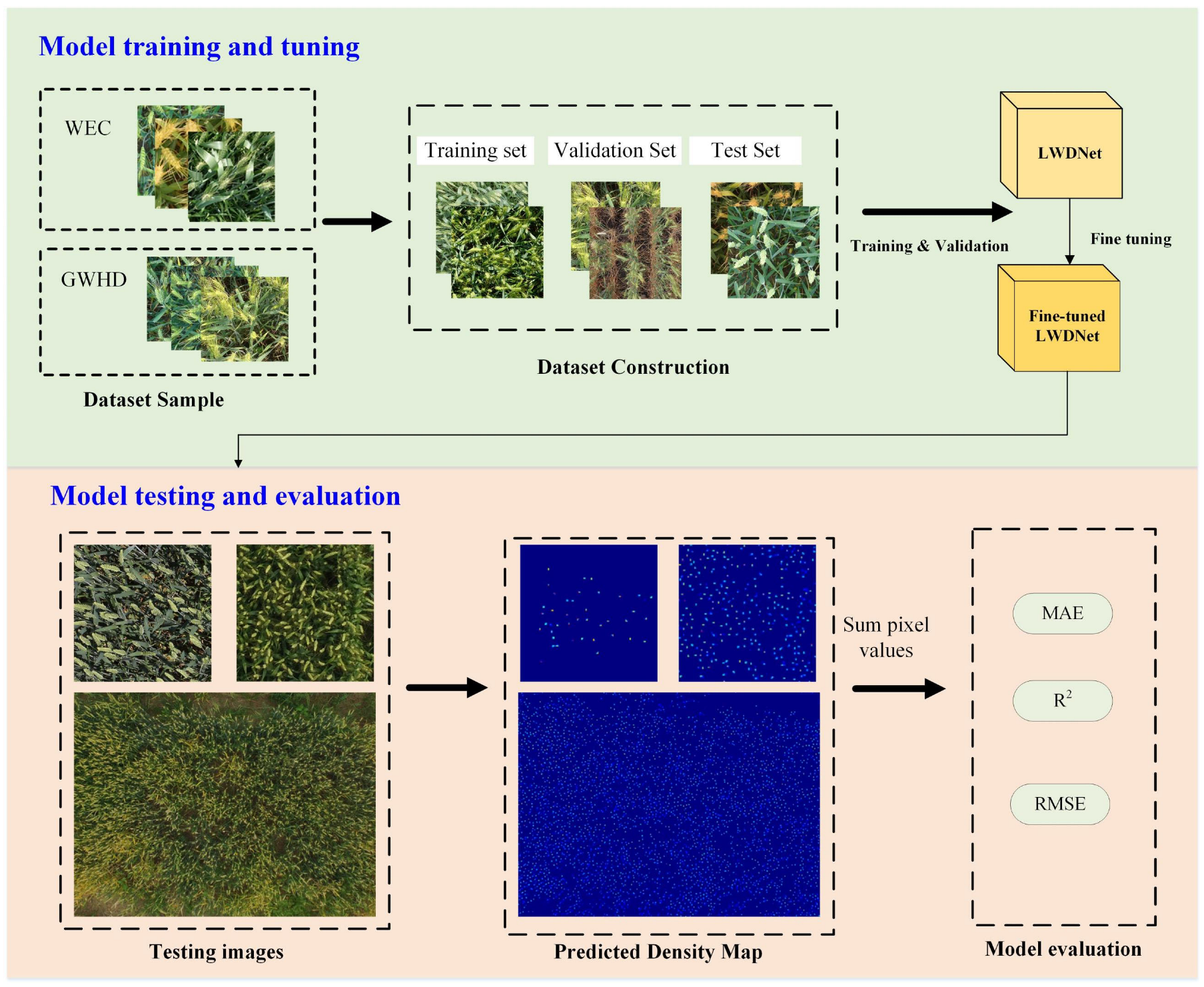 Agronomy 13 01792 g006 Agronomy 13 01792 g006