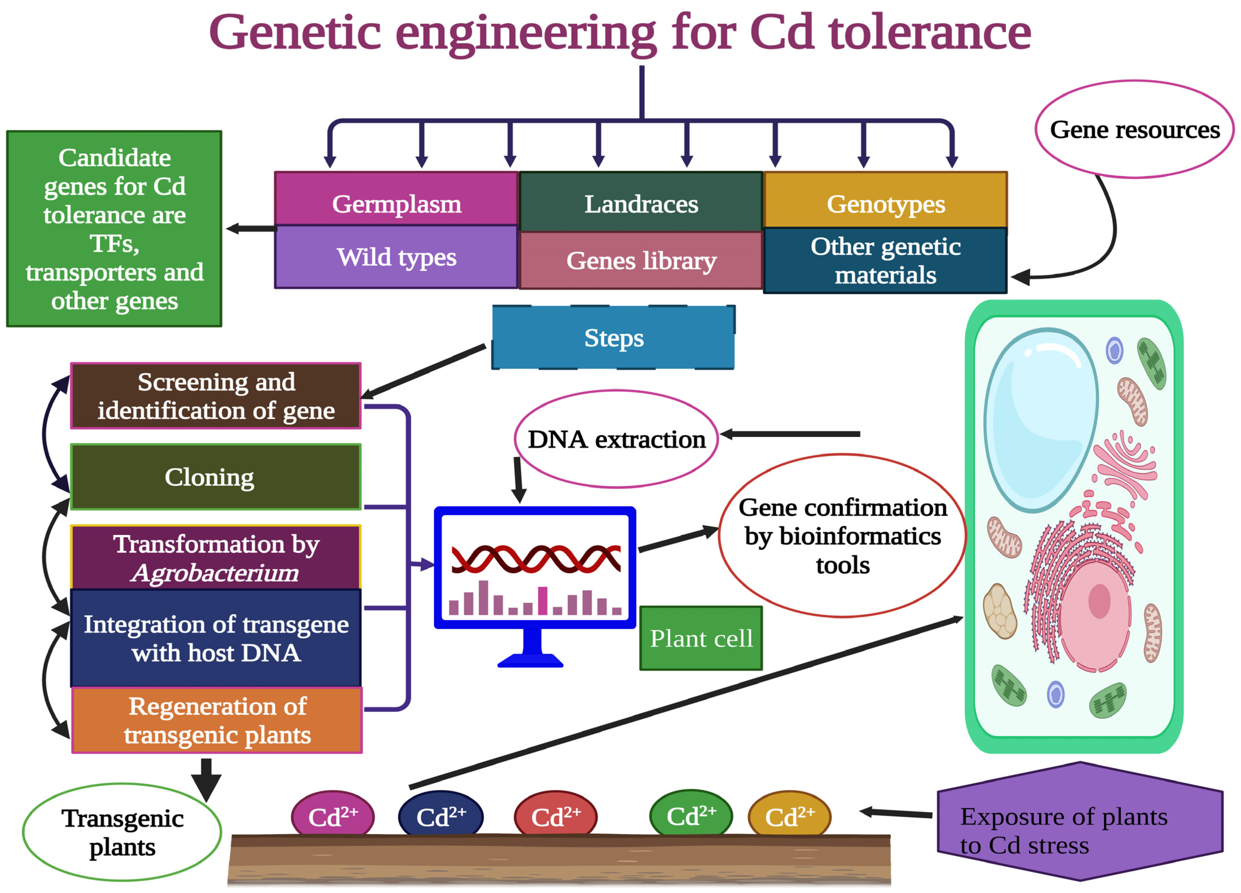 Agronomy 13 01793 g004