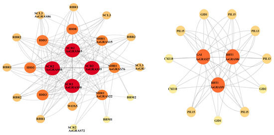 平野 2021/8/29 野田線10030系の区間急行の表示ずっと撮りたかってん