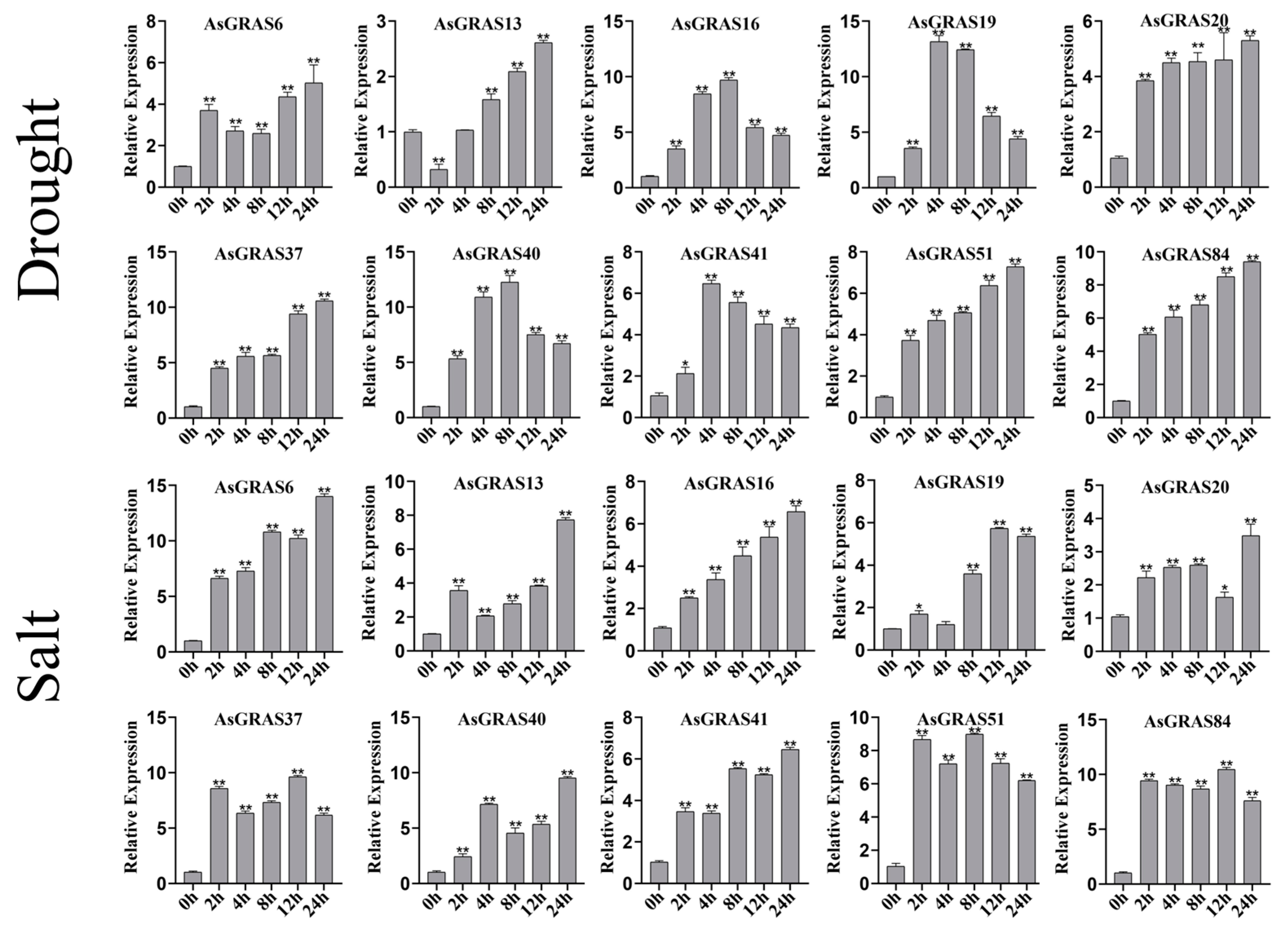 Agronomy 13 01807 g009
