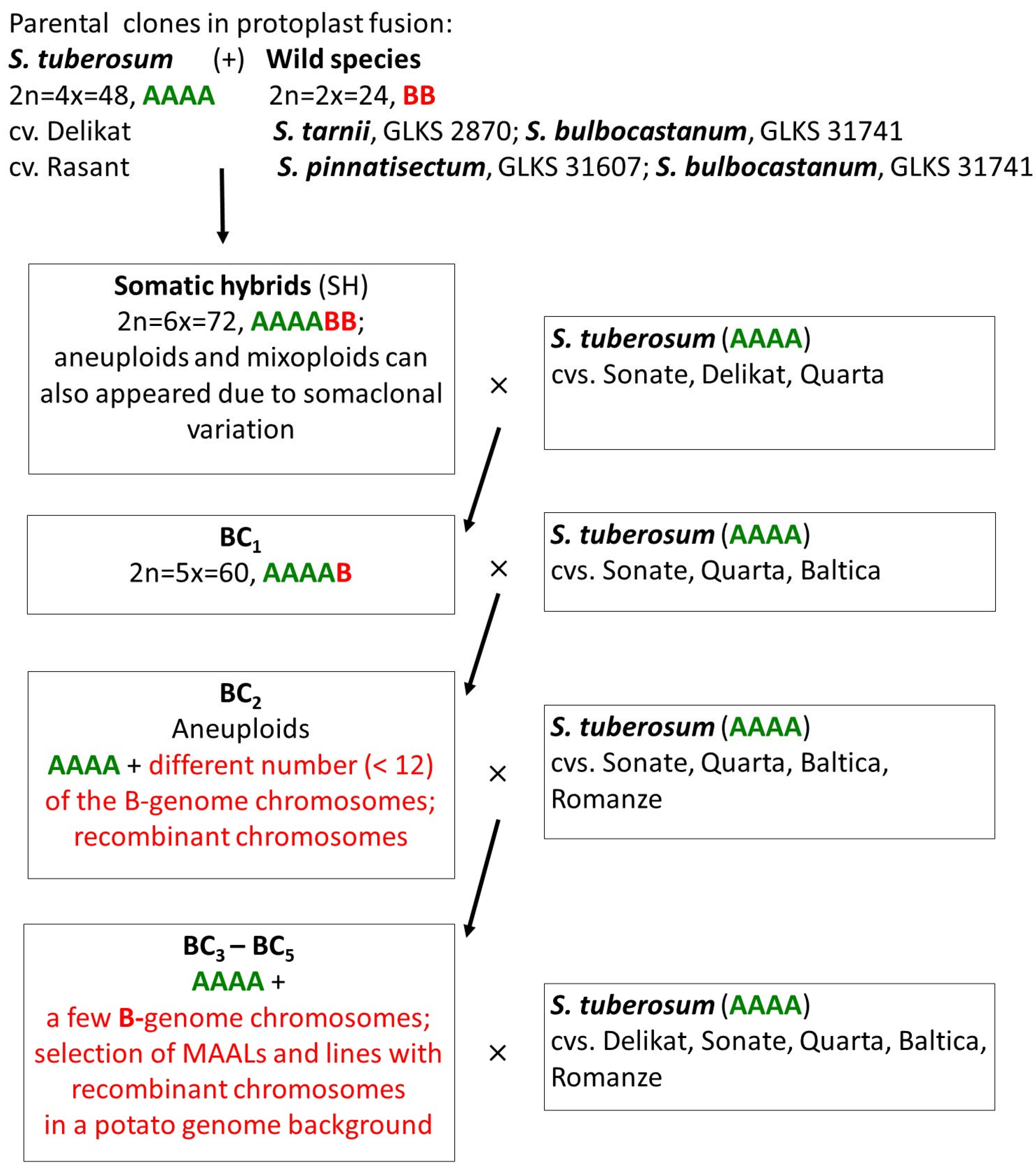Agronomy 13 01809 g001 Agronomy 13 01809 g001