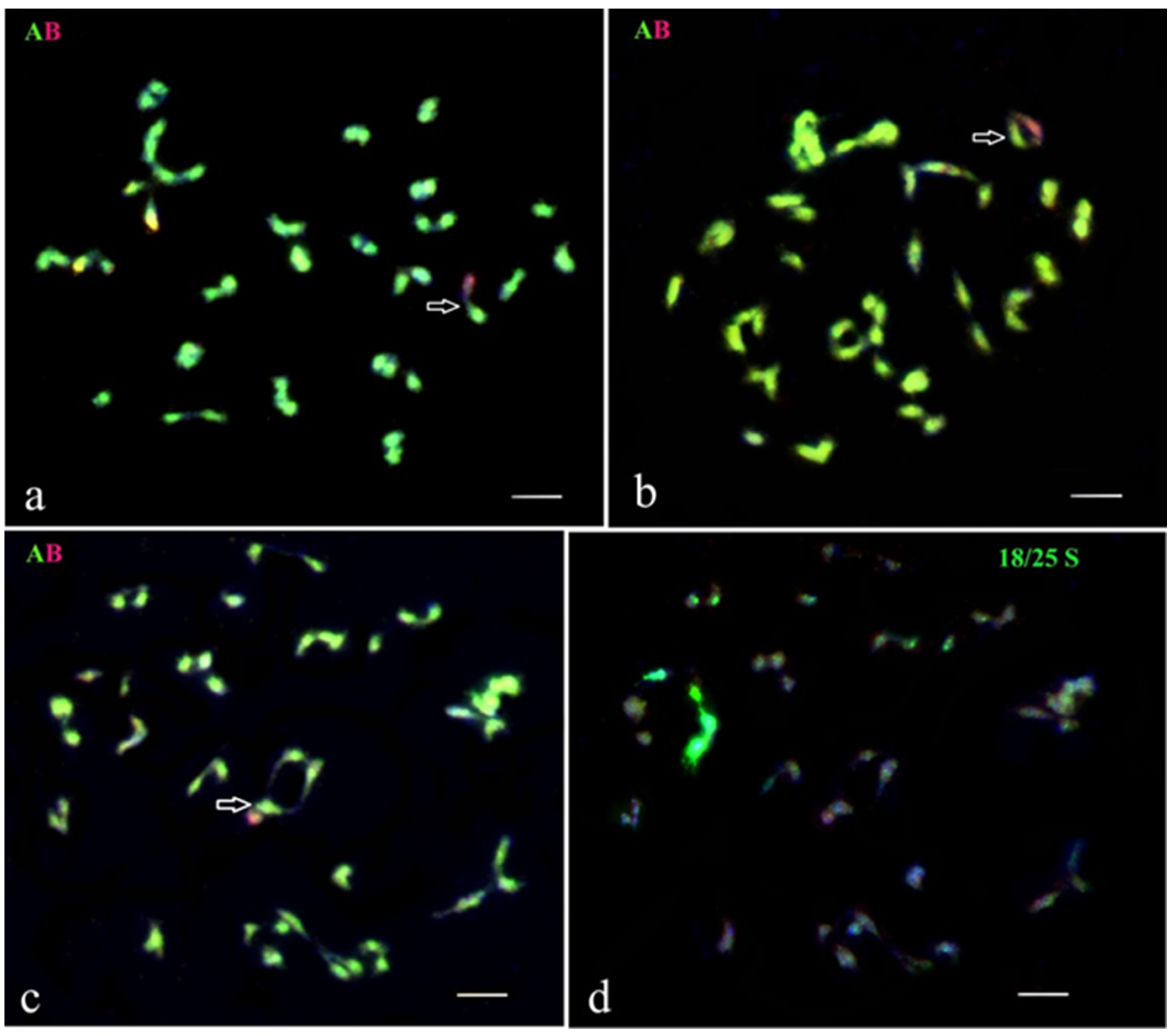 Agronomy 13 01809 g003 Agronomy 13 01809 g003
