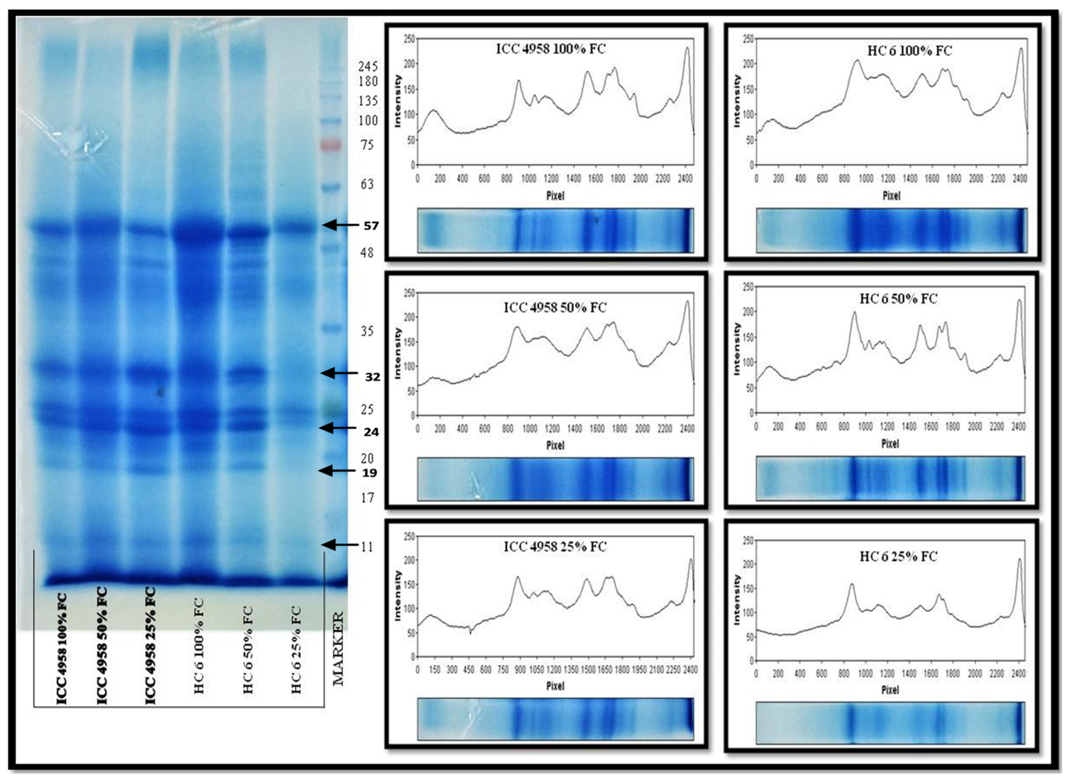 Agronomy 13 01814 g010 Agronomy 13 01814 g010