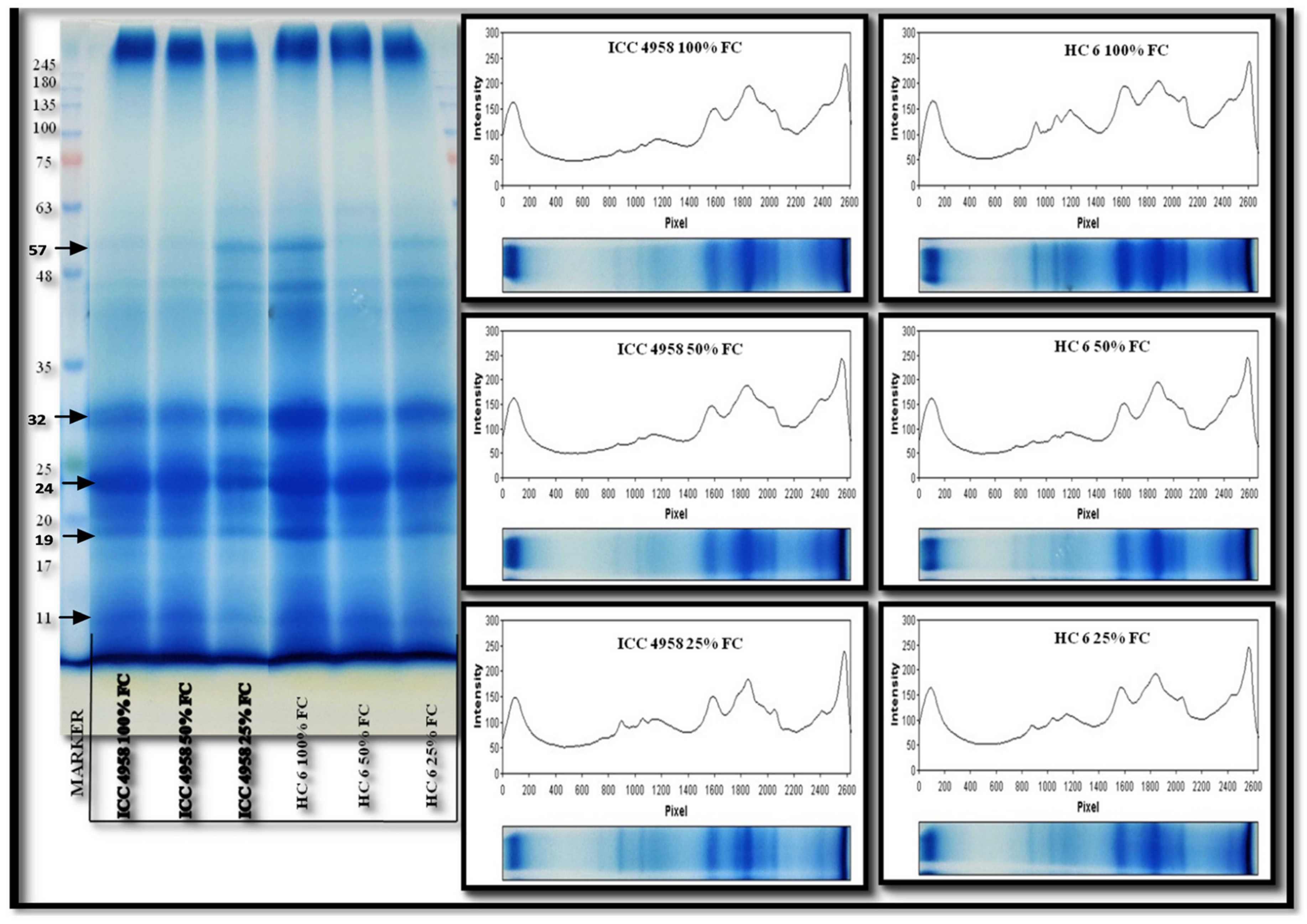 Agronomy 13 01814 g012 Agronomy 13 01814 g012