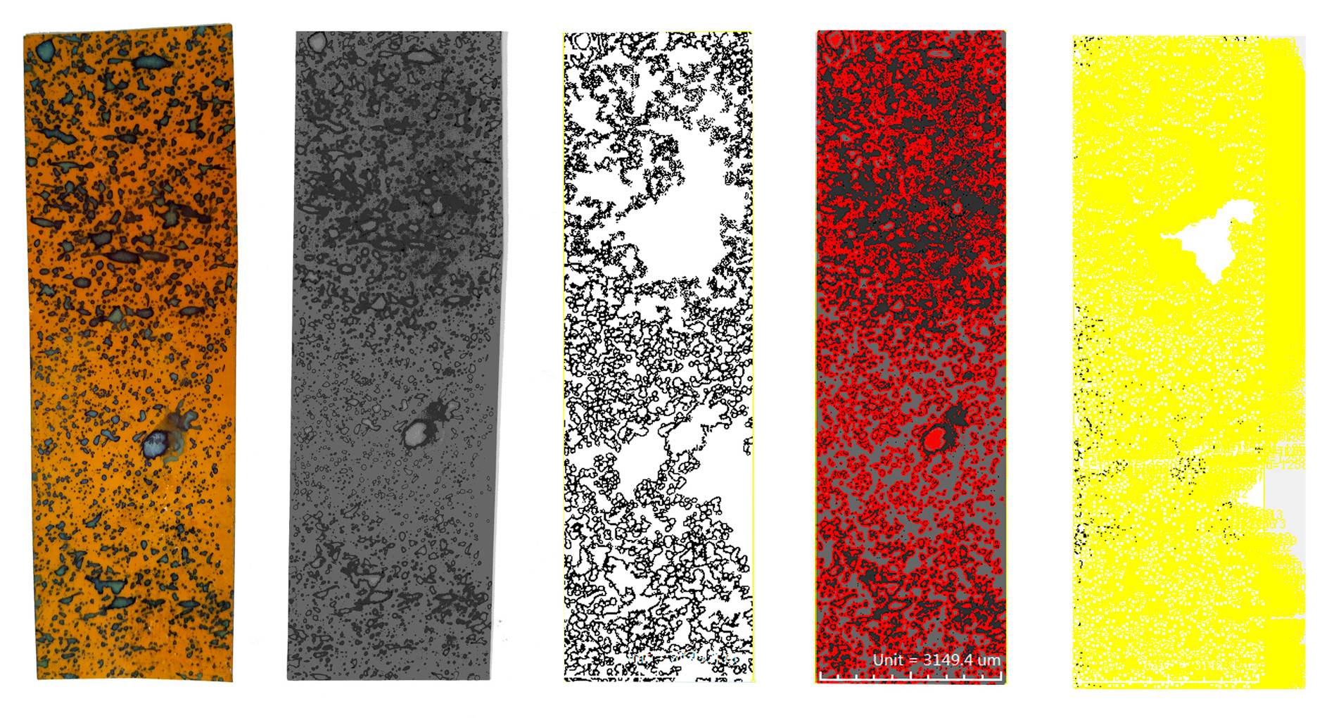 Agronomy 13 01815 g006 Agronomy 13 01815 g006