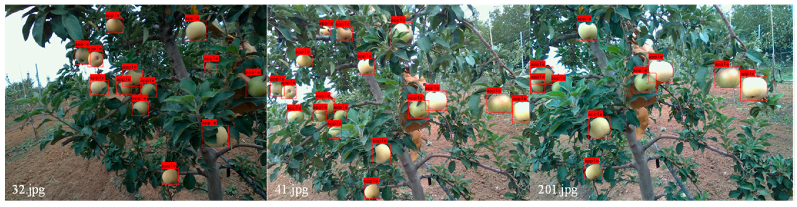 Agronomy 13 01816 g011