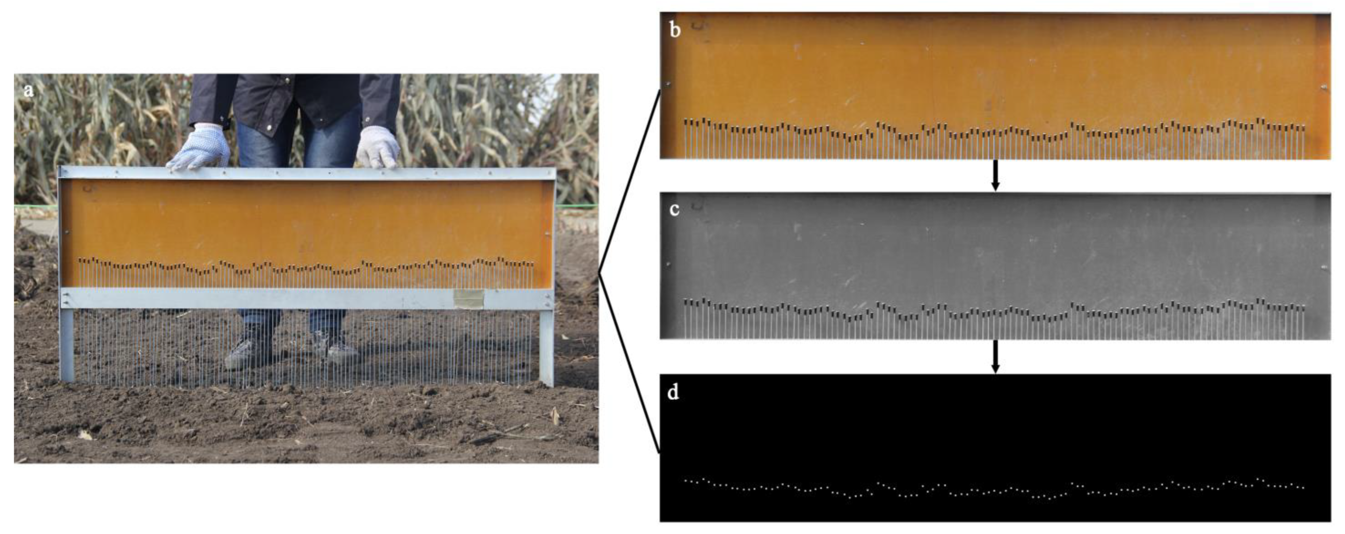 Agronomy 13 01817 g003 Agronomy 13 01817 g003