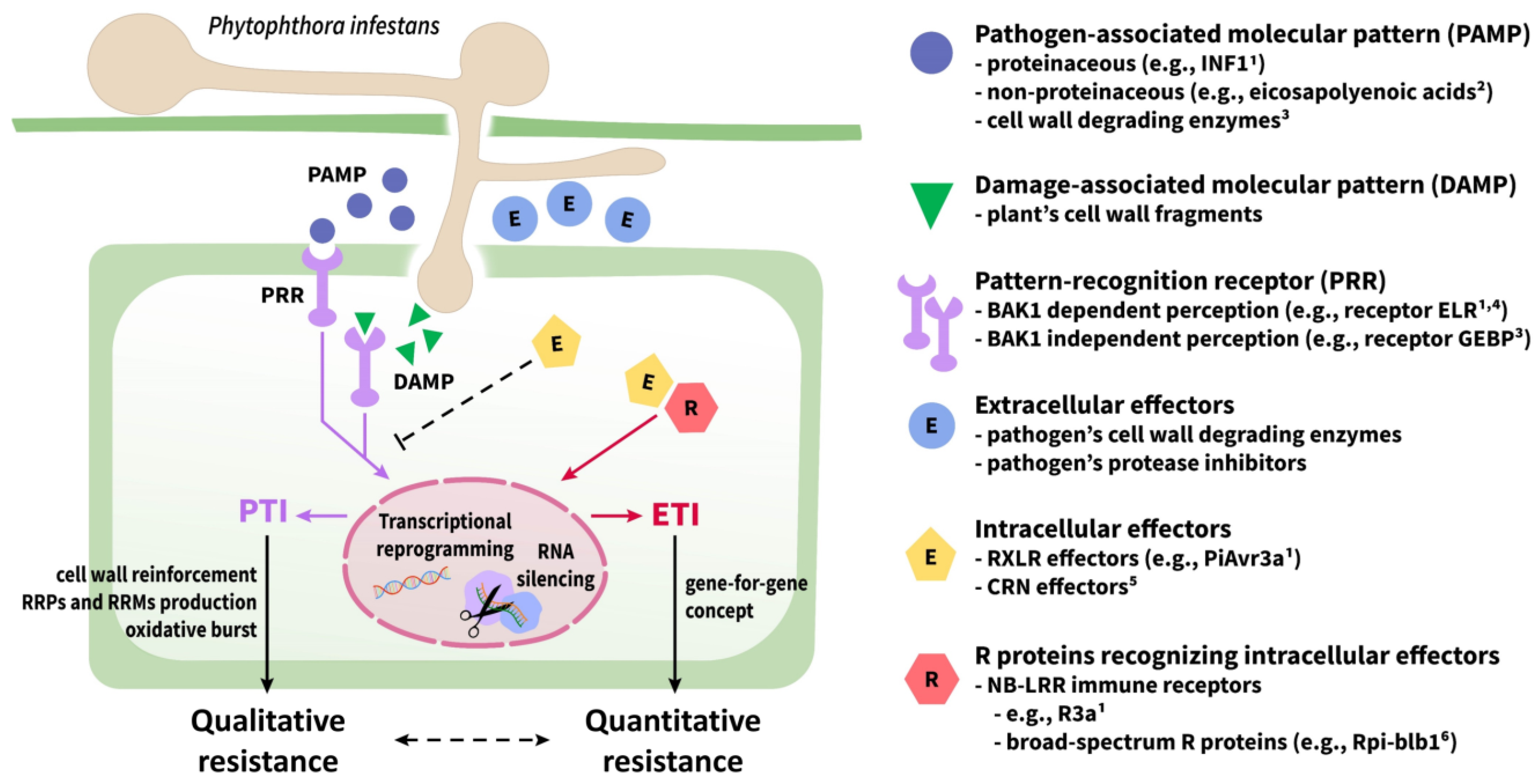 Agronomy 13 01822 g002 Agronomy 13 01822 g002