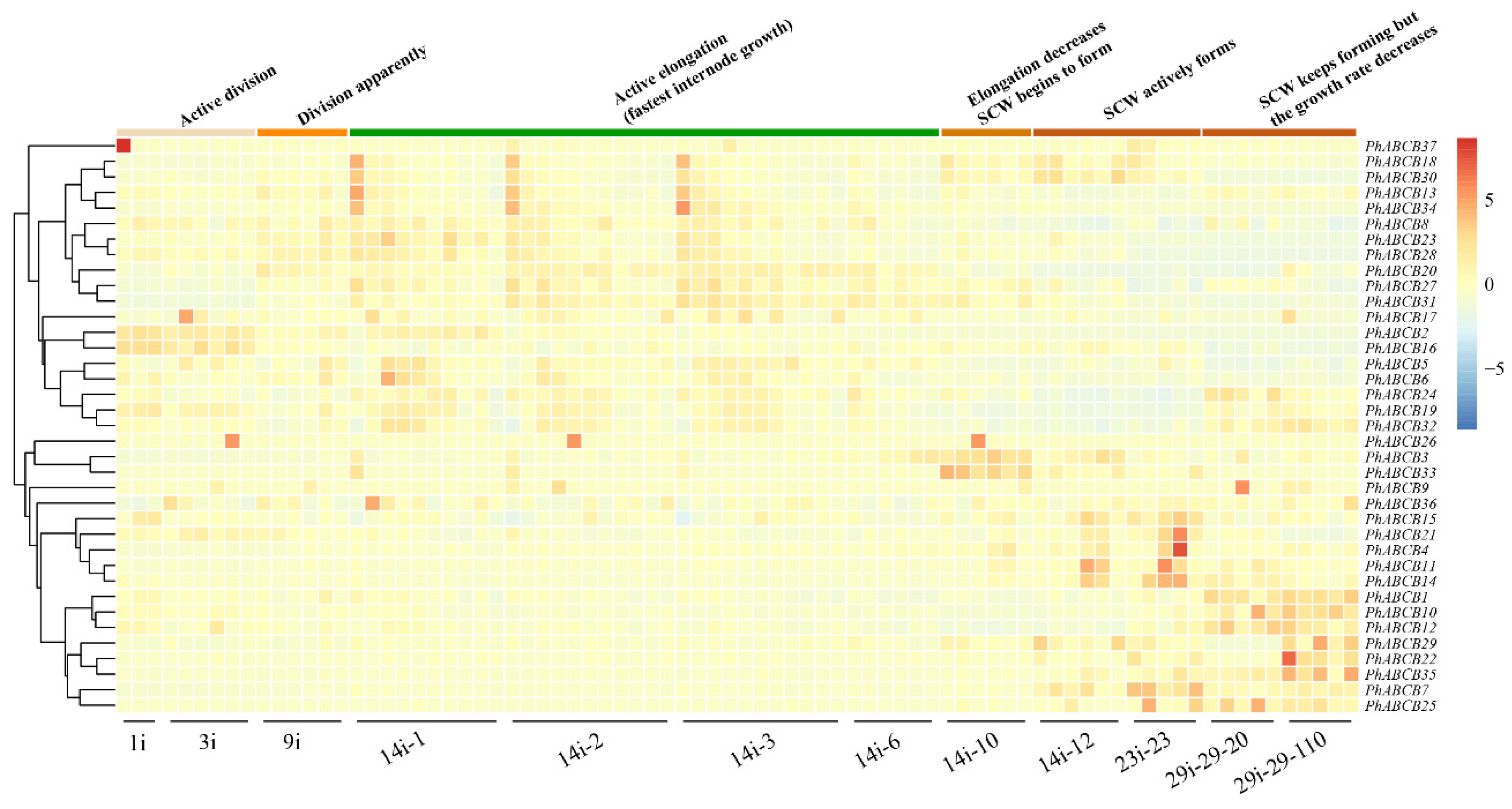 Agronomy 13 01828 g007 Agronomy 13 01828 g007