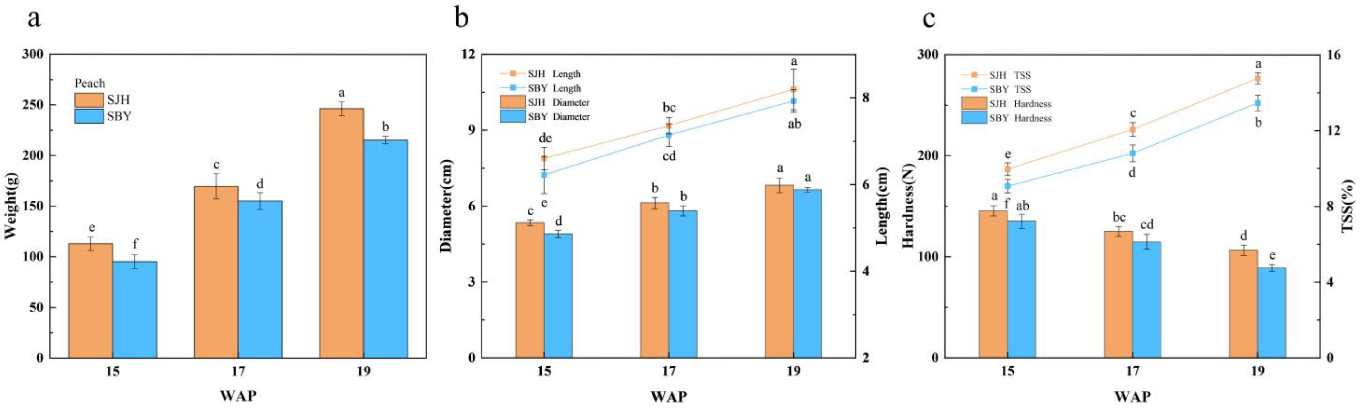 Agronomy 13 01833 g002 Agronomy 13 01833 g002