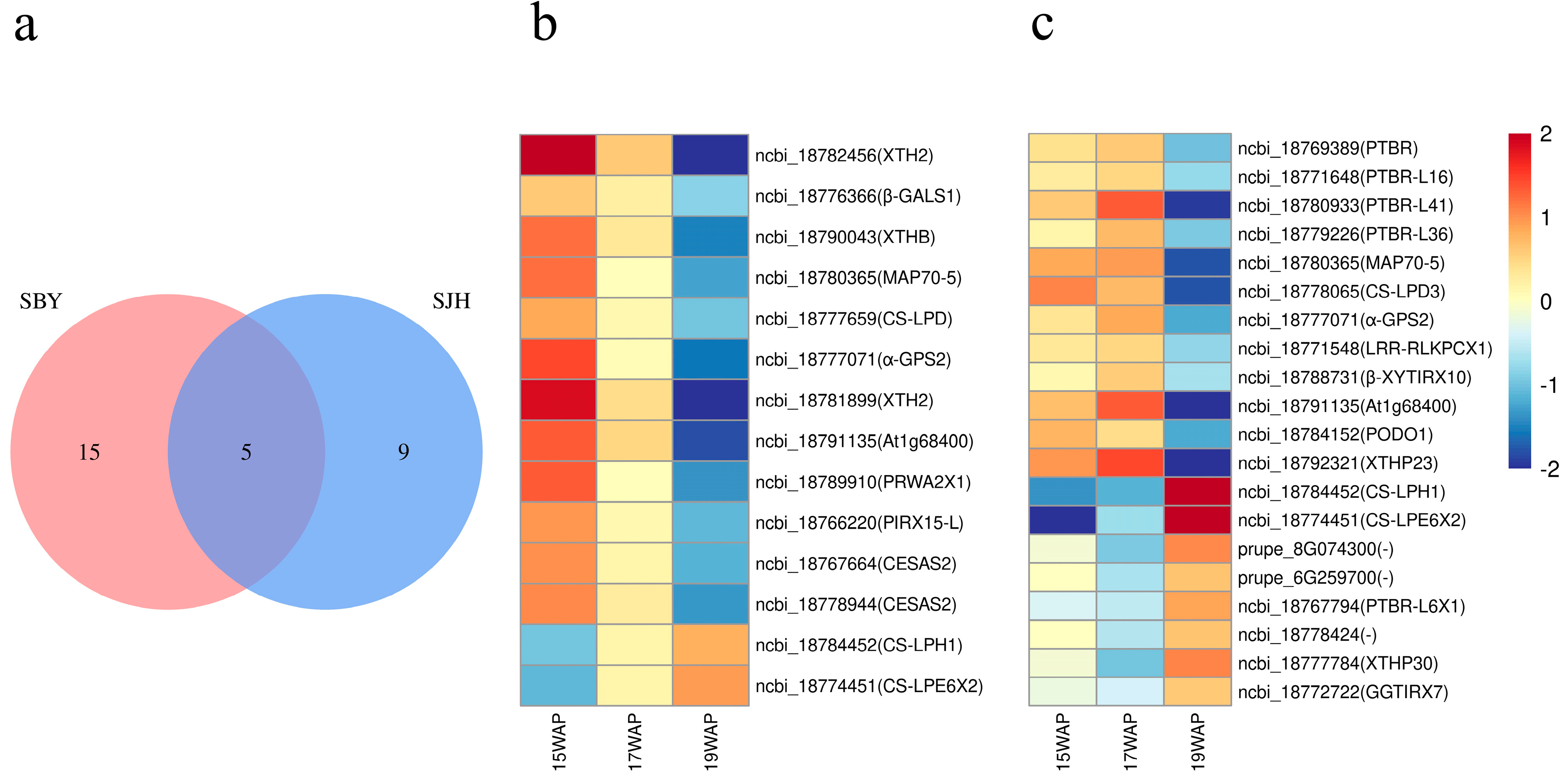 Agronomy 13 01833 g007 Agronomy 13 01833 g007