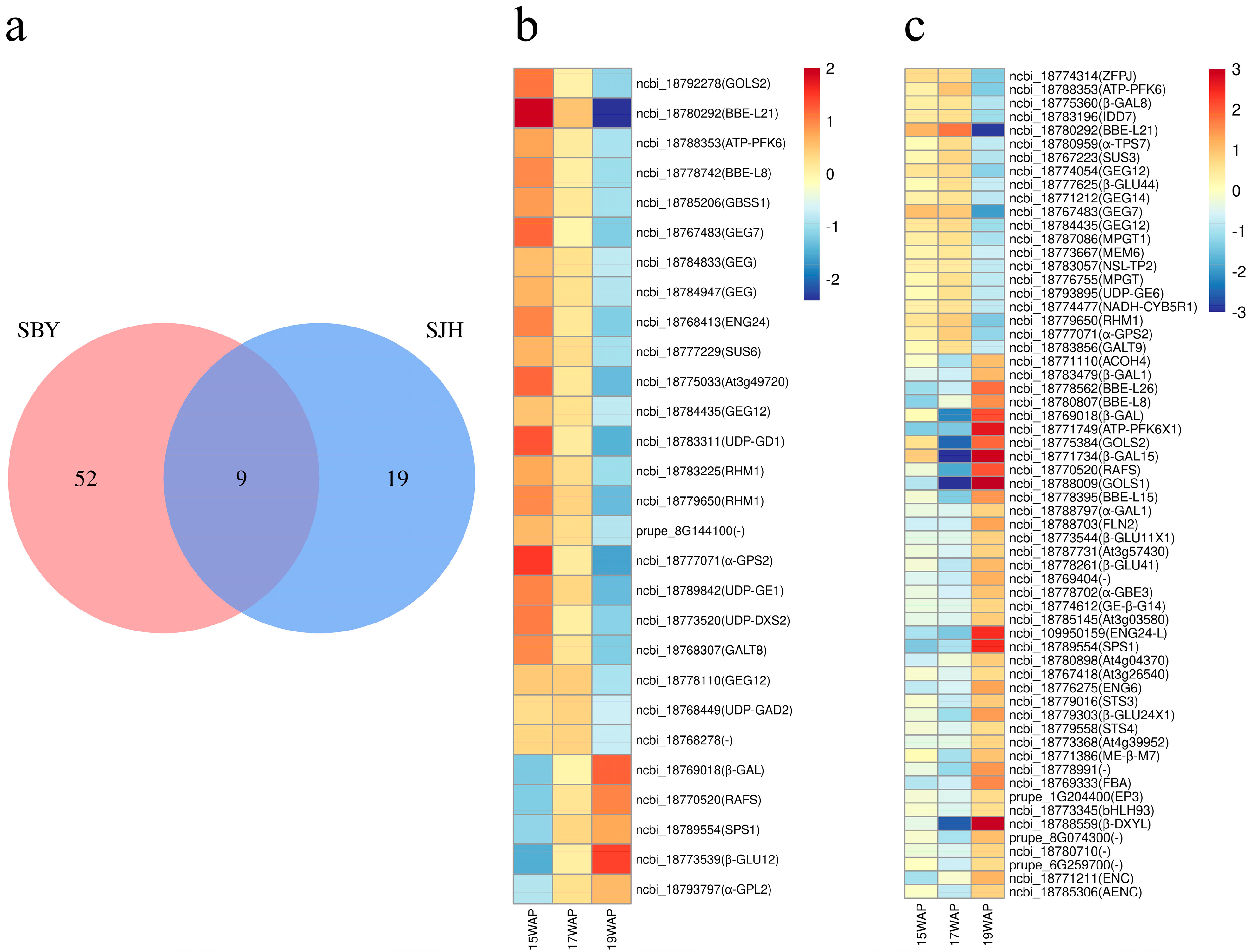 Agronomy 13 01833 g008 Agronomy 13 01833 g008