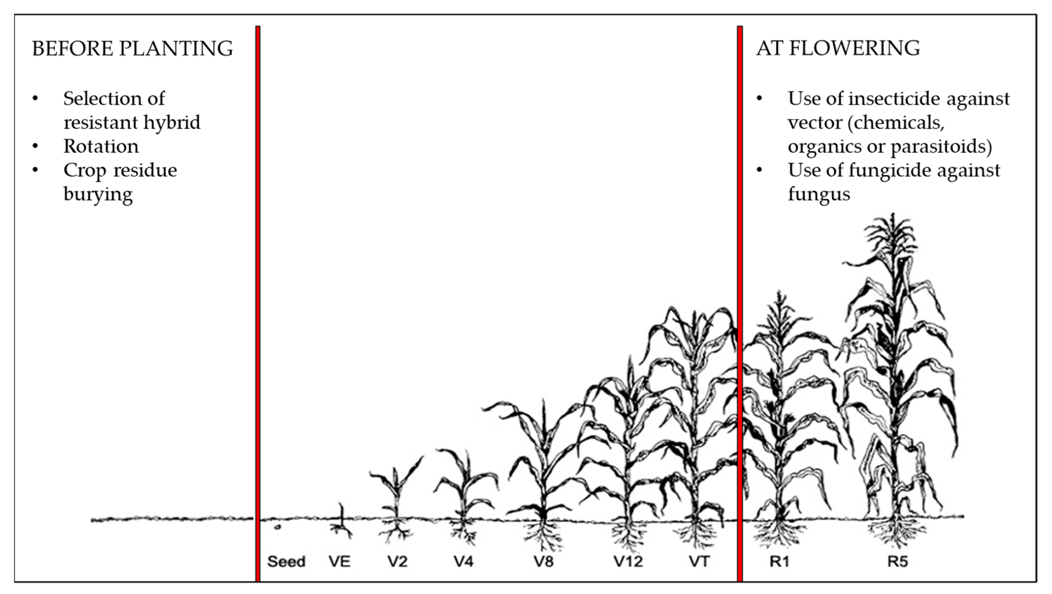 Agronomy 13 01836 g004 Agronomy 13 01836 g004