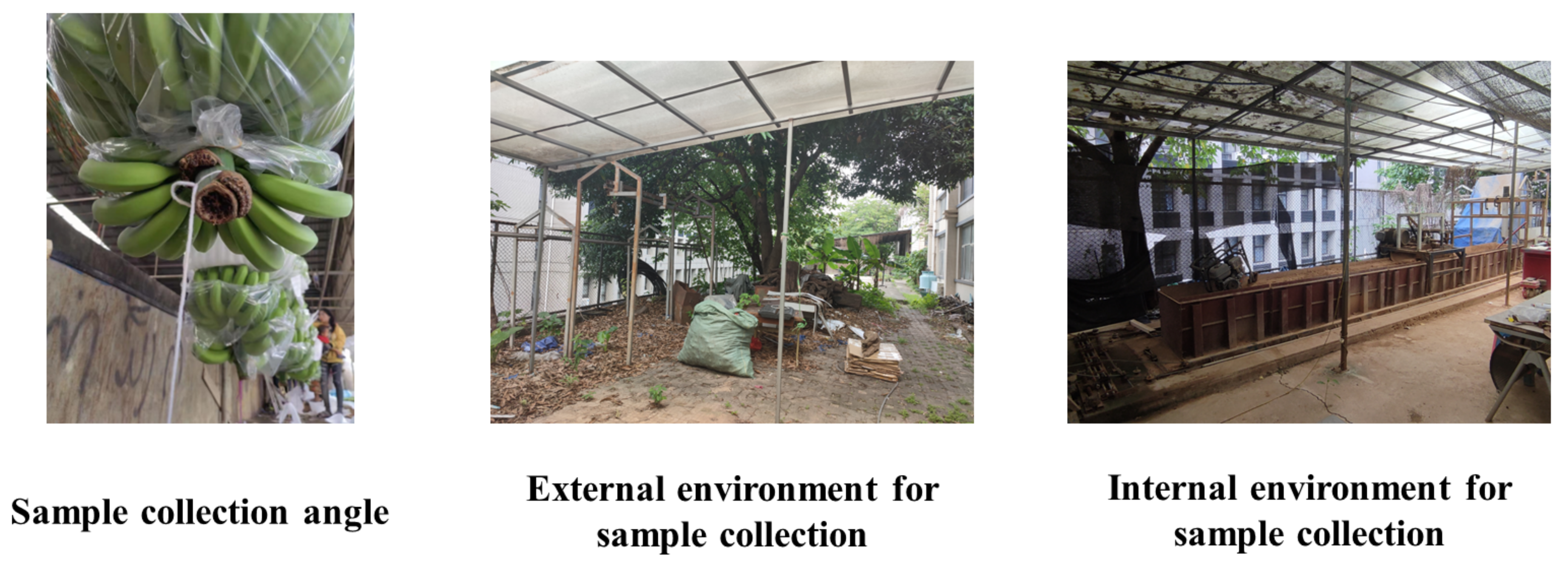 Agronomy 13 01838 g001 Agronomy 13 01838 g001