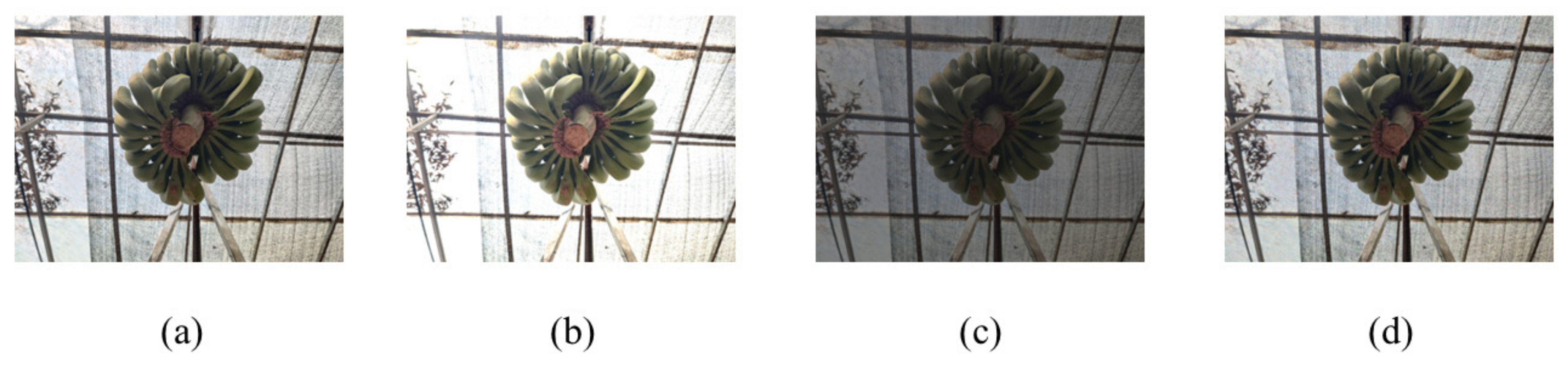 Agronomy 13 01838 g002 Agronomy 13 01838 g002