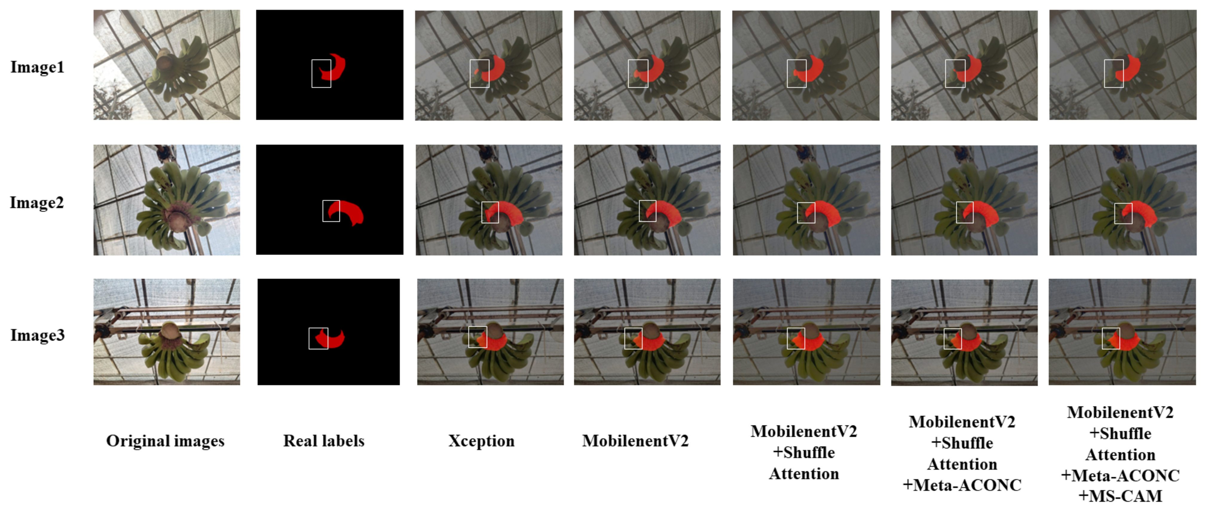 Agronomy 13 01838 g009 Agronomy 13 01838 g009
