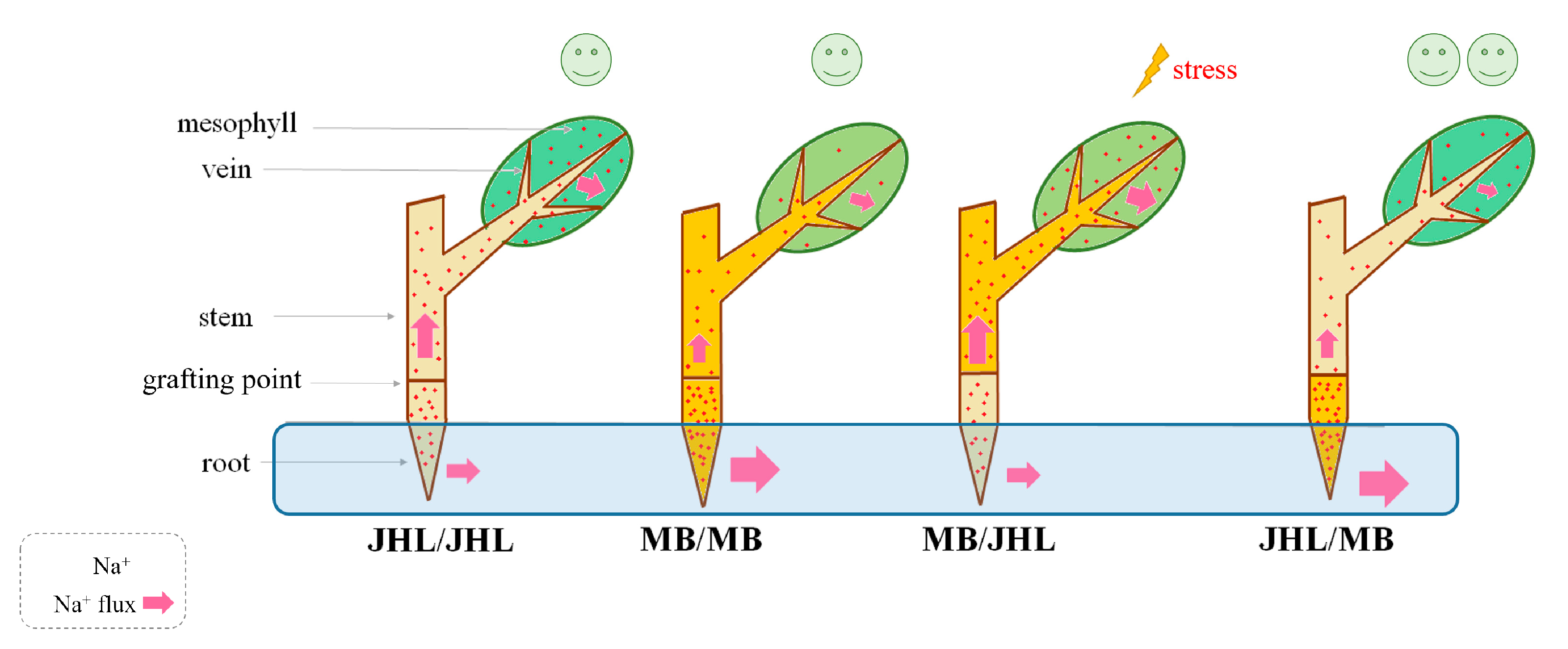 Agronomy 13 01843 g007 Agronomy 13 01843 g007