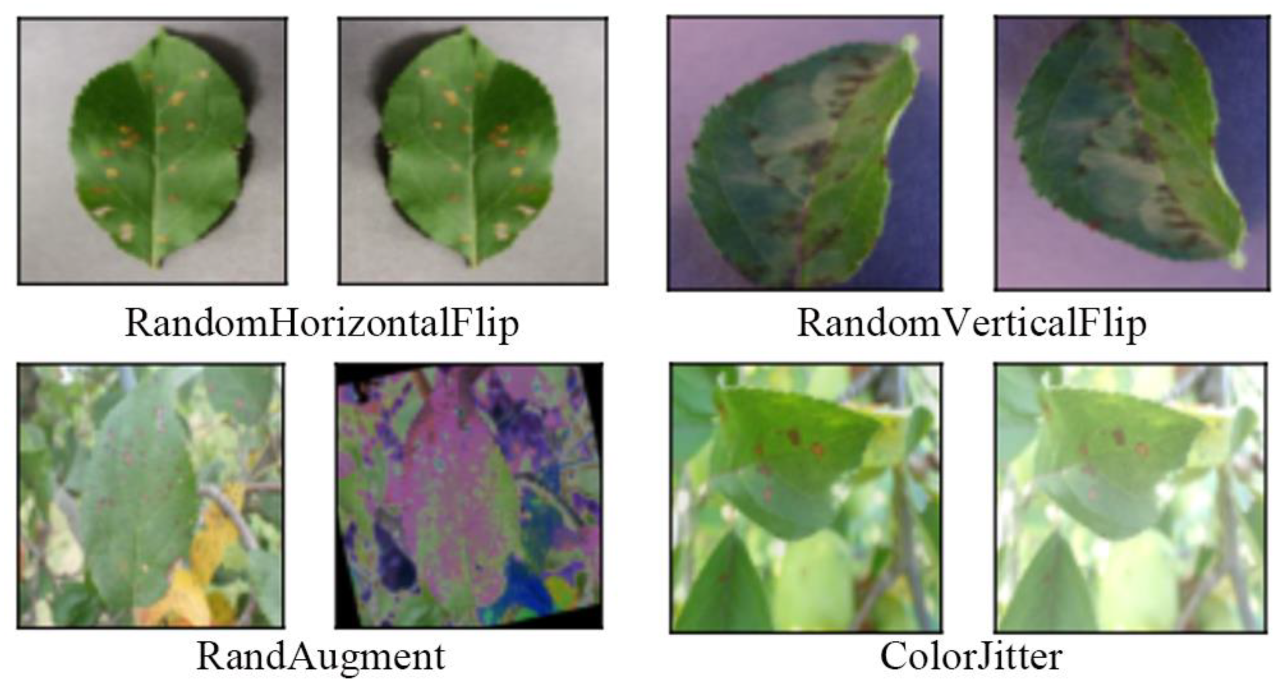 Agronomy 13 01849 g008