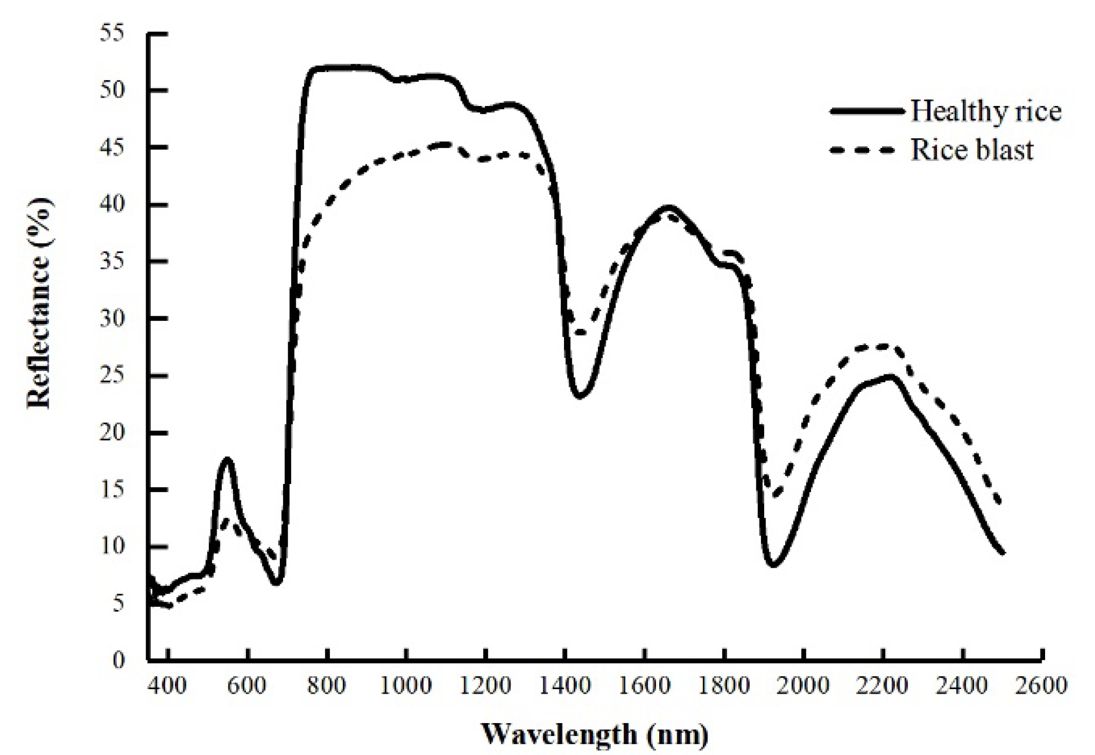 Agronomy 13 01851 g002