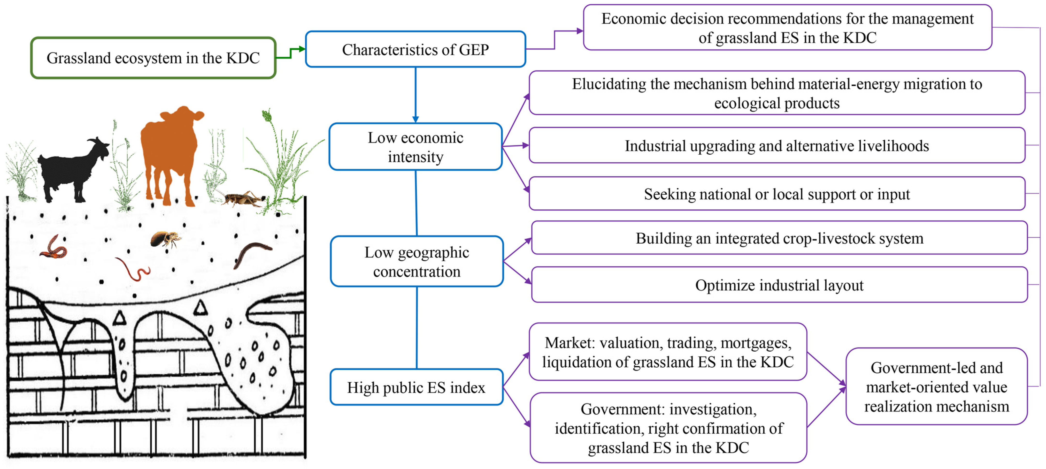 Agronomy 13 01861 g008